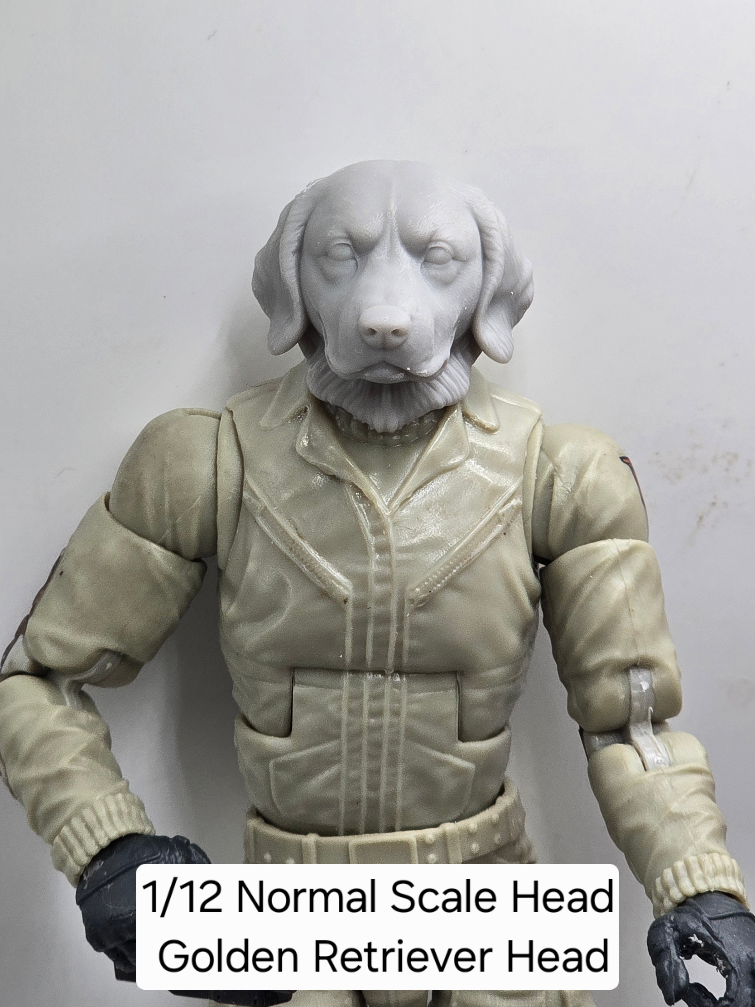 3d Printed Mythic Legions Scale Head 1.0 Golden Retriever Dog Head  1:12 6" Scale.