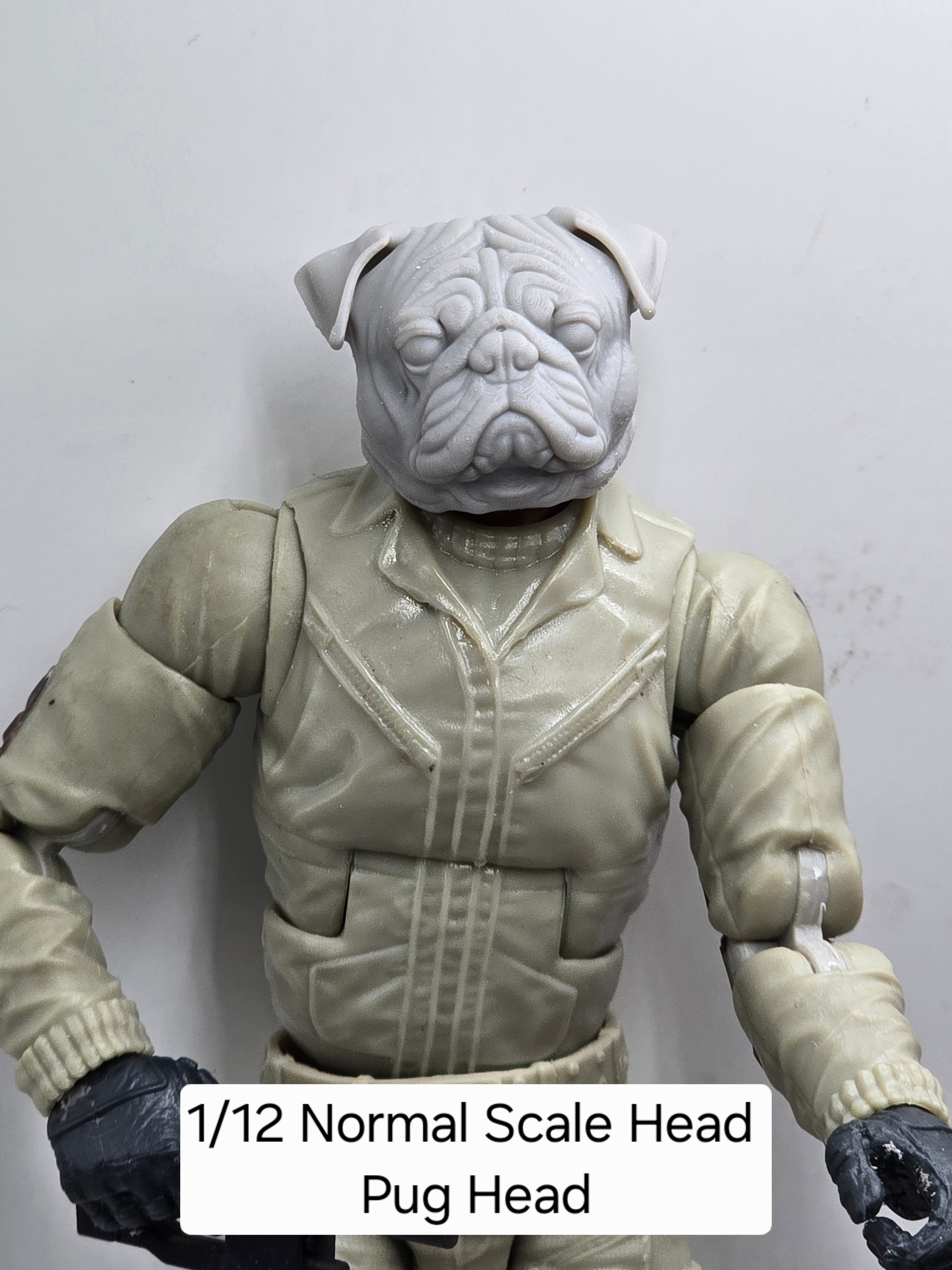 3d Printed Mythic Legions Scale Head 1.0 Pug Head  1:12 6" Scale.