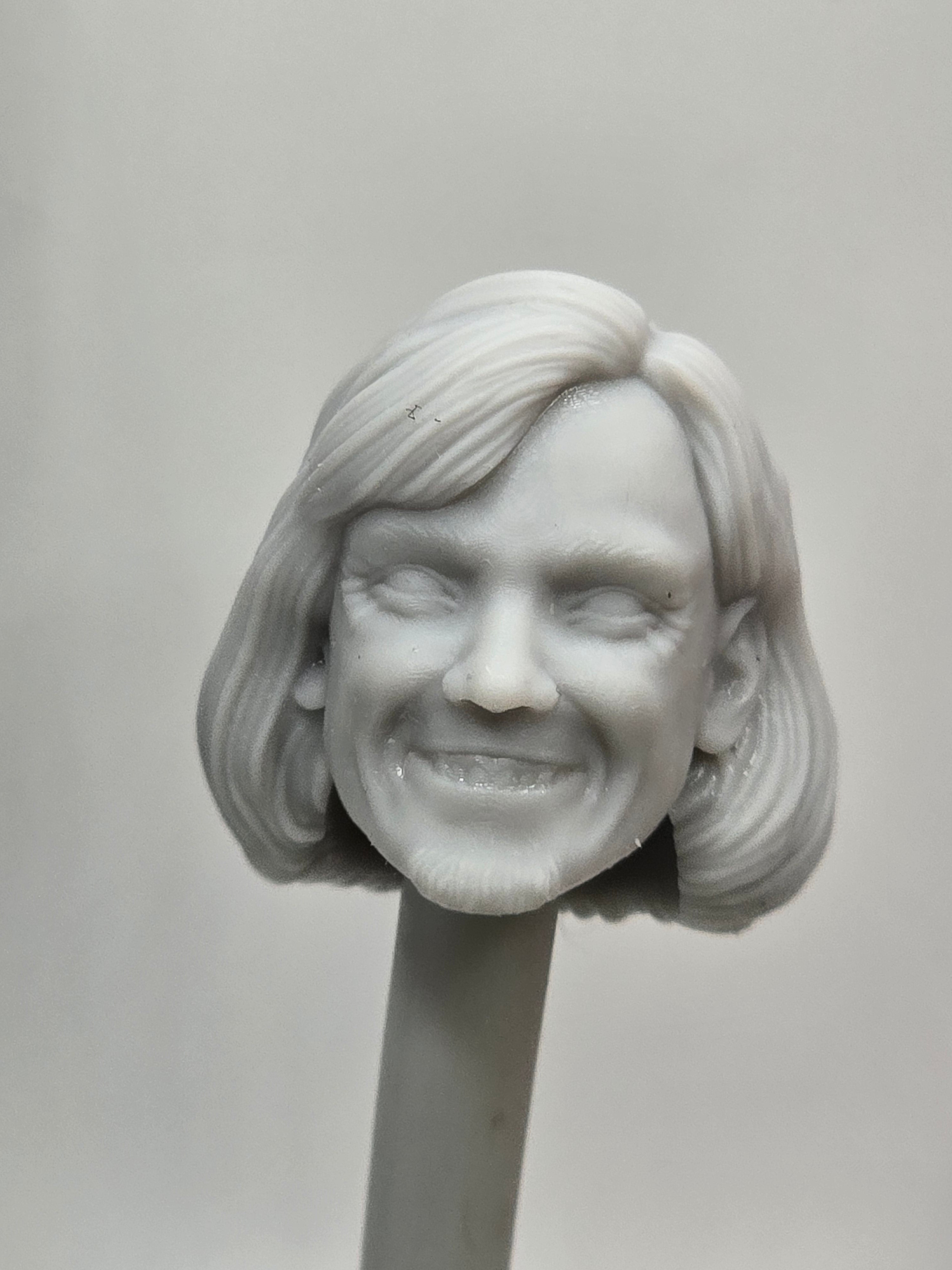 Custom 3d Printed Classified Legends Compatible Comic Multiverse Mystery Team Shaggy Lillard  Heads 1/12 1-10 1/18 Scale
