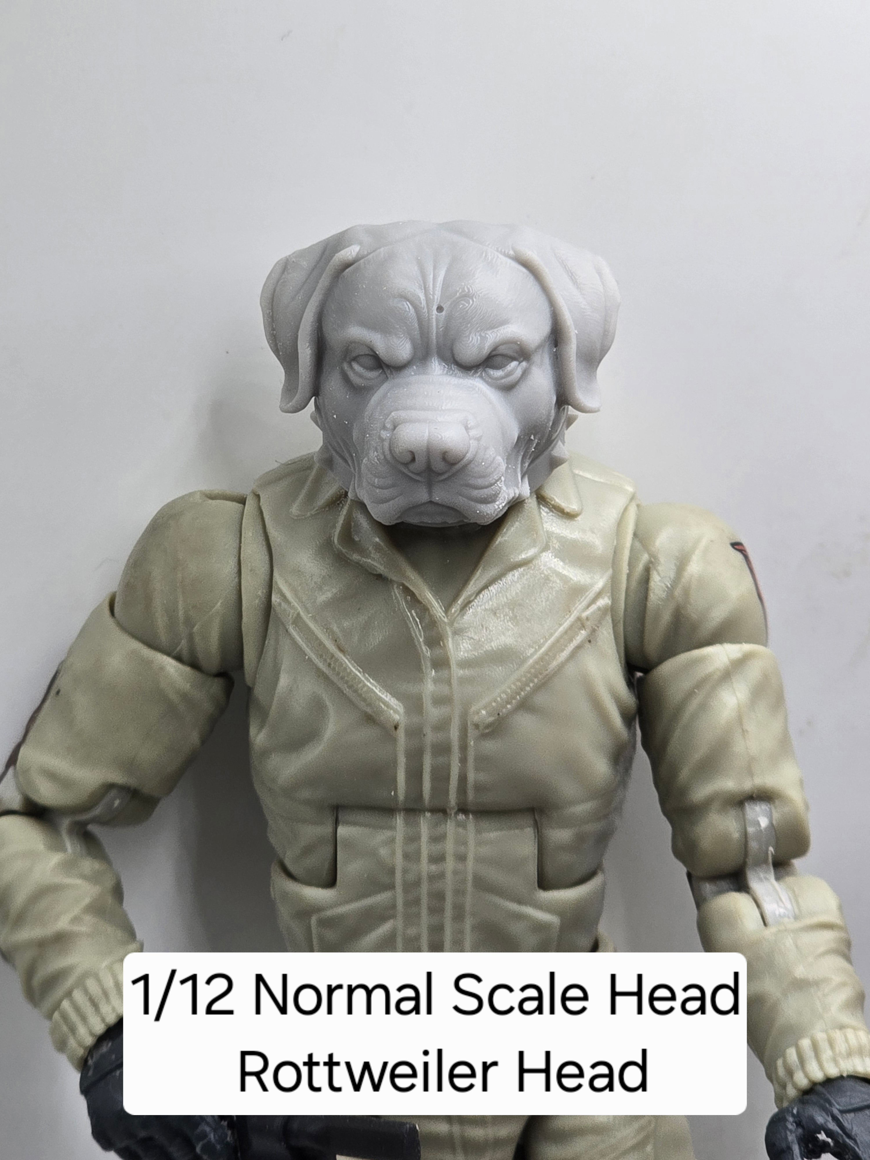 3d Printed Mythic Legions Scale Head 1.0 Rottweiler Dog Head  1:12 6" Scale.