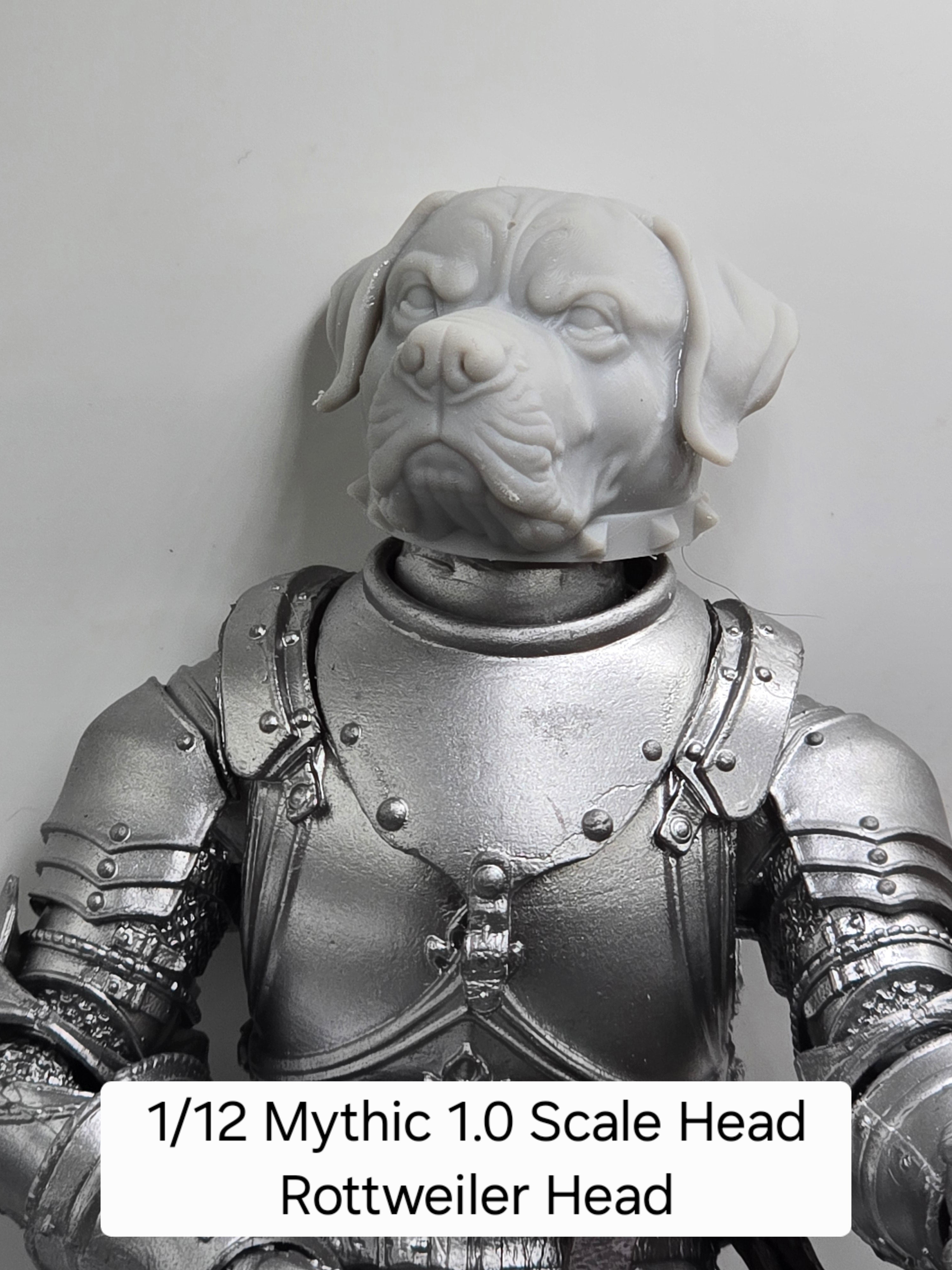 3d Printed Mythic Legions Scale Head 1.0 Rottweiler Dog Head  1:12 6" Scale.
