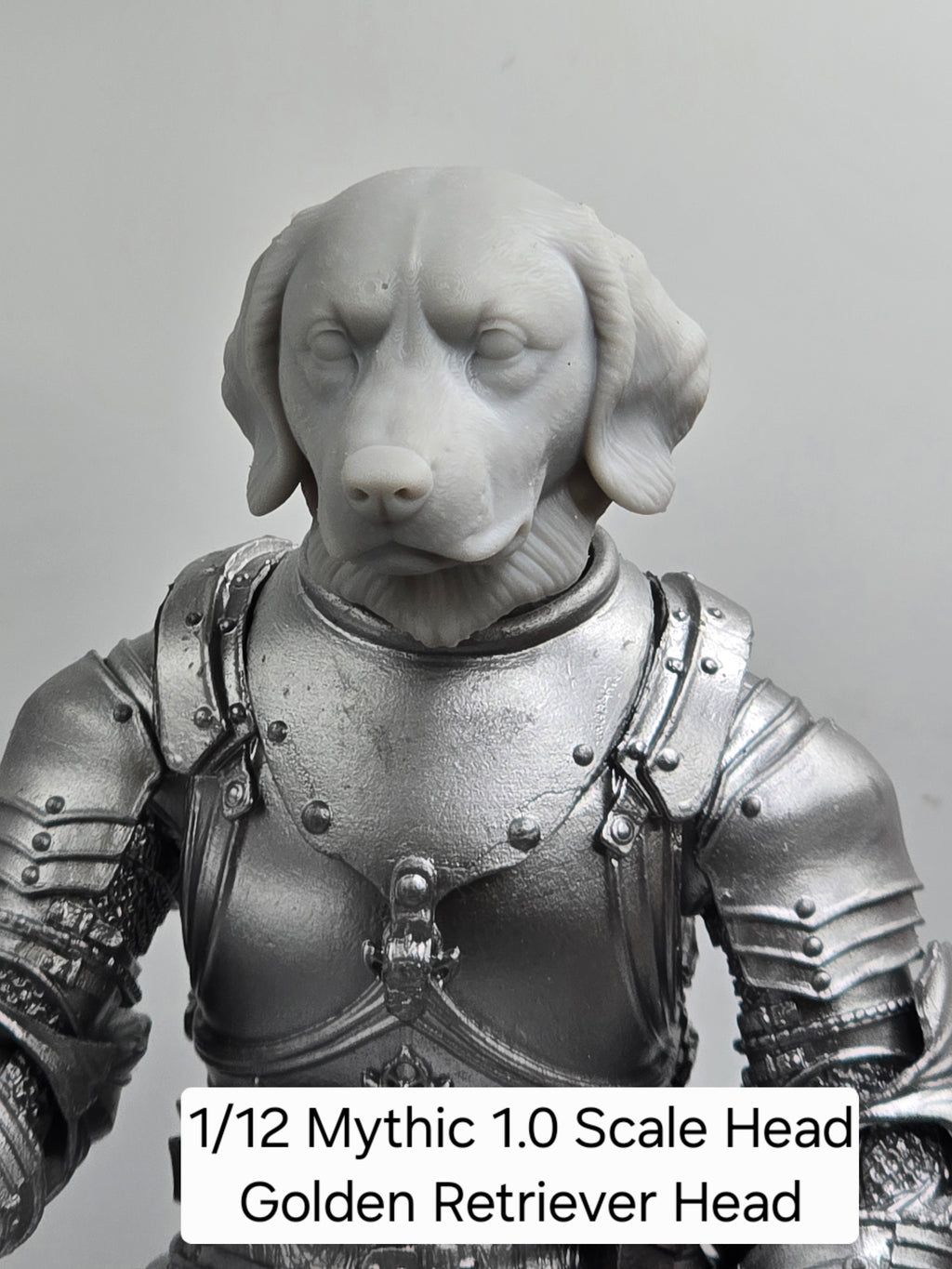 3d Printed Mythic Legions Scale Head 1.0 Golden Retriever Dog Head  1:12 6" Scale.