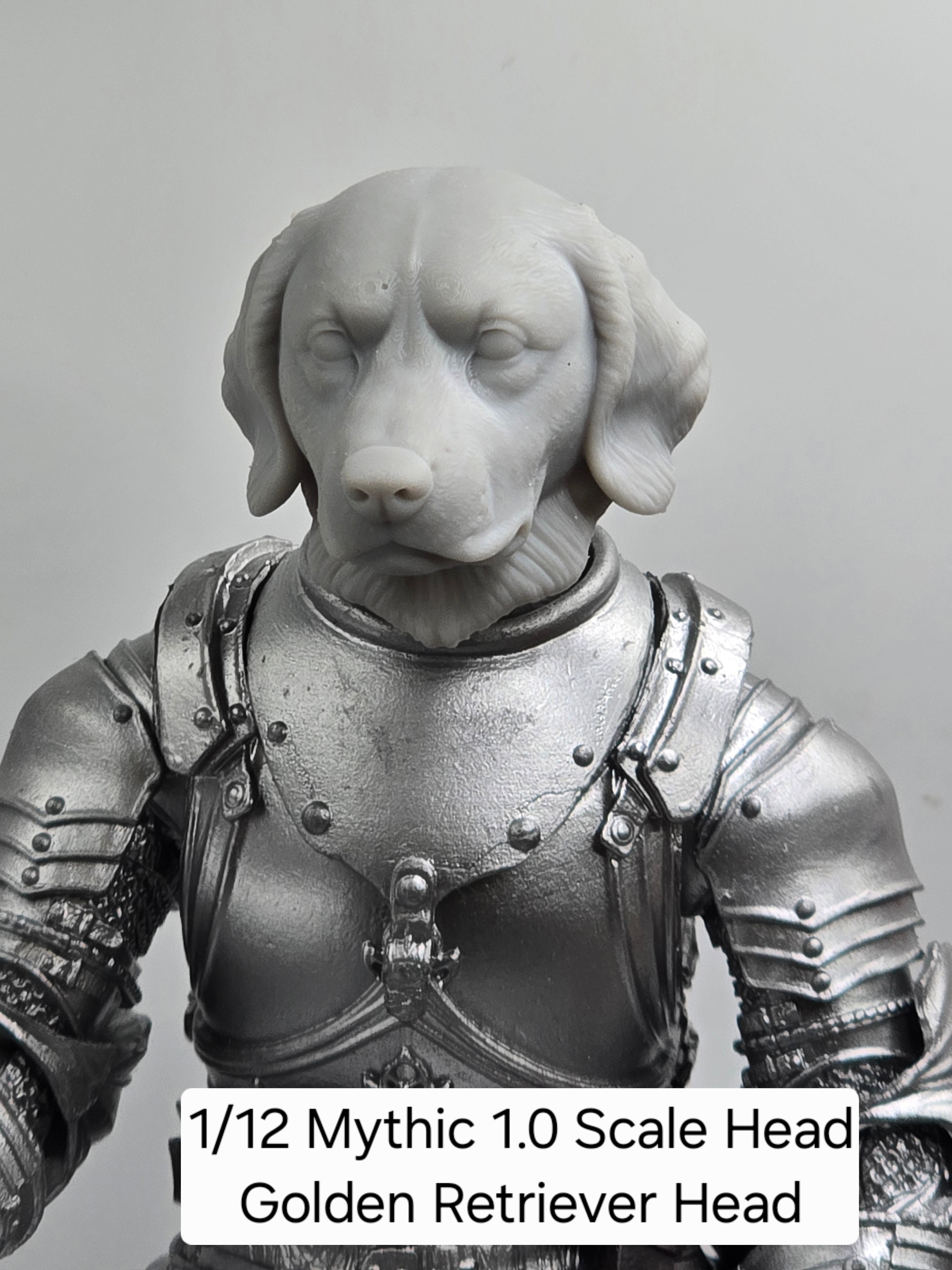 3d Printed Mythic Legions Scale Head 1.0 Golden Retriever Dog Head  1:12 6" Scale.