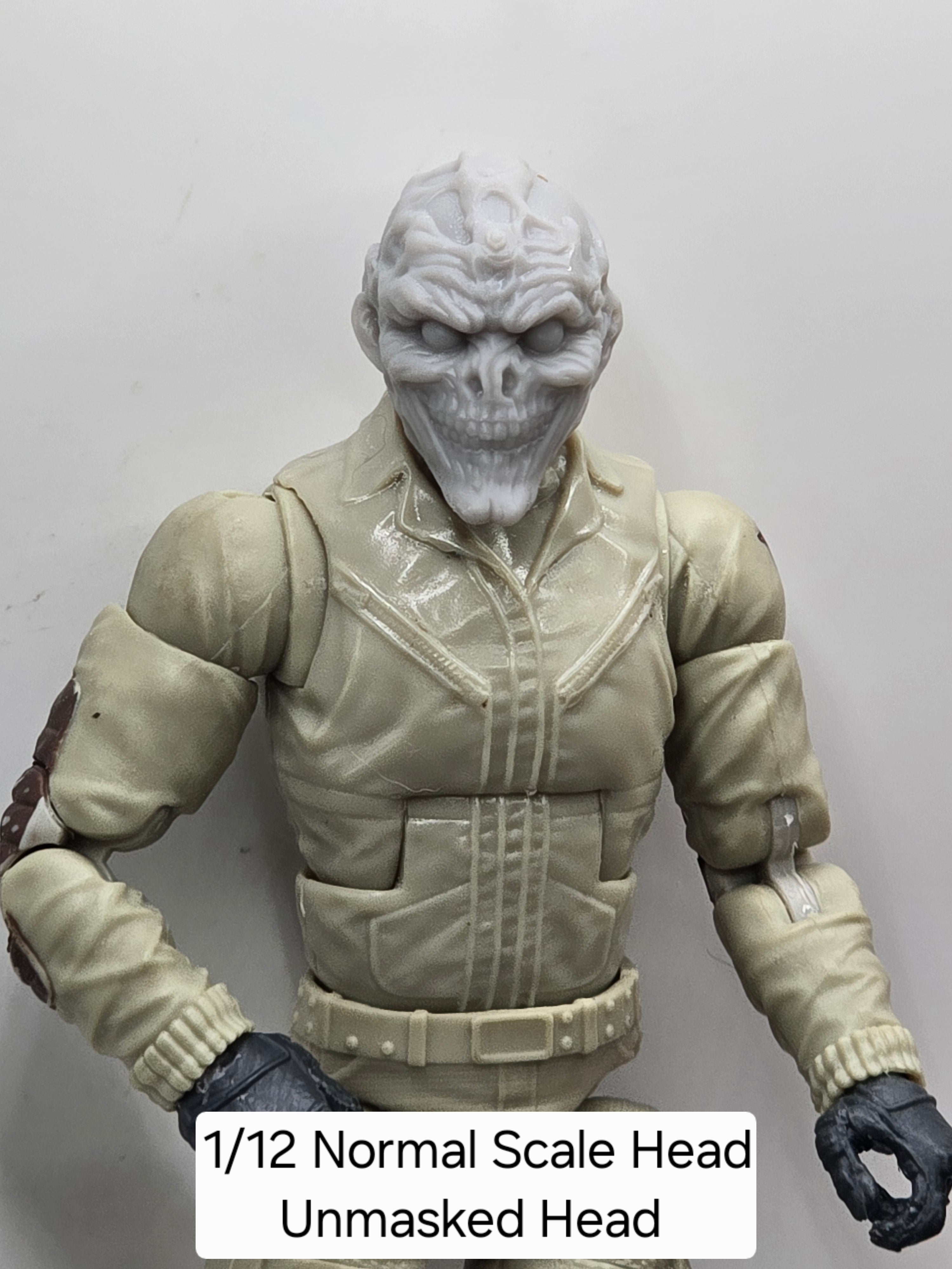 3d Printed Mythic Legions Scale Head 1.0 Unmasked Head  1:12 6" Scale.