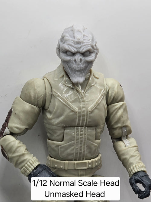 3d Printed Mythic Legions Scale Head 1.0 Unmasked Head  1:12 6" Scale.