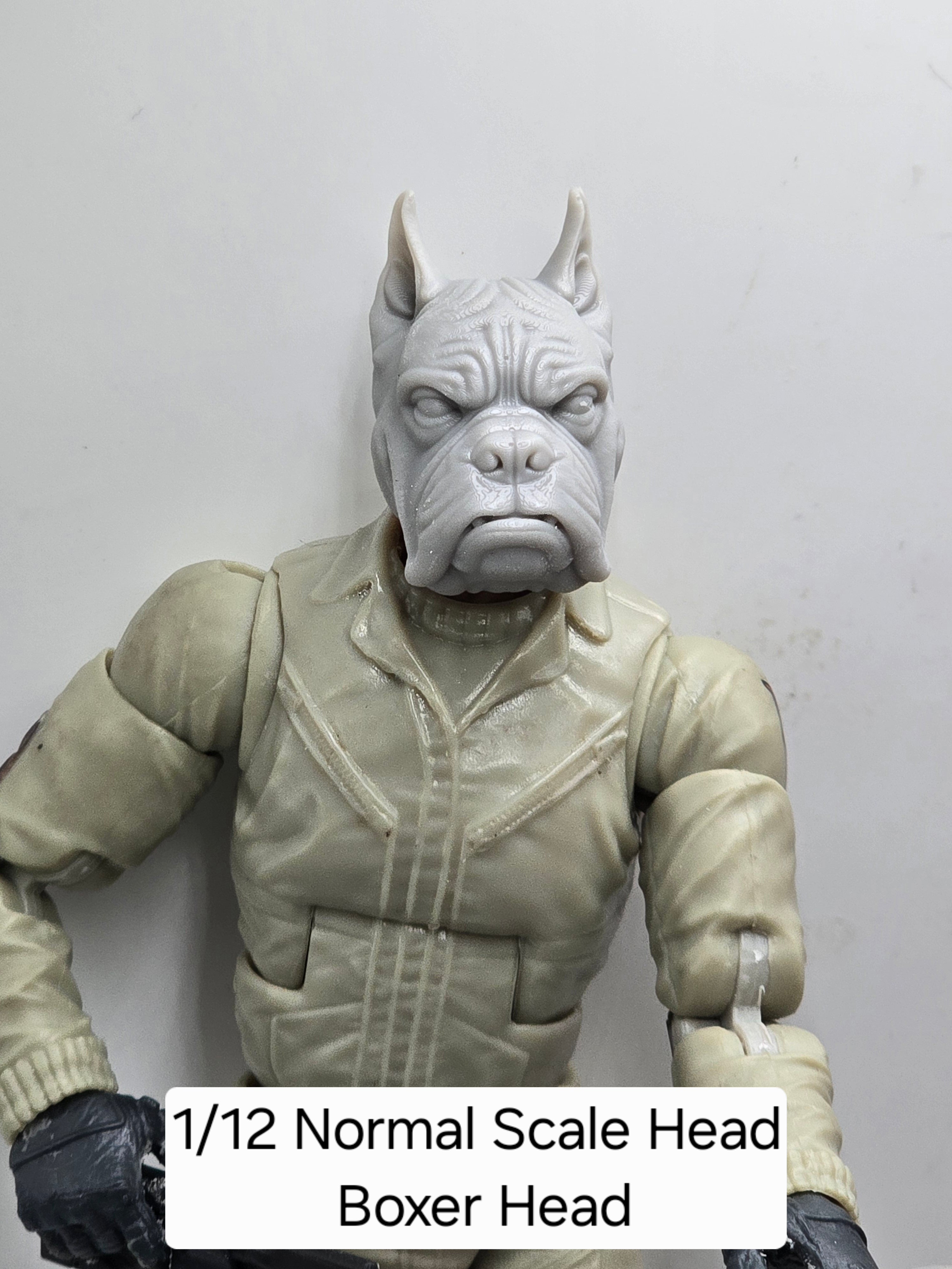 3d Printed Mythic Legions Scale Head 1.0 Boxer Dog Head  1:12 6" Scale.