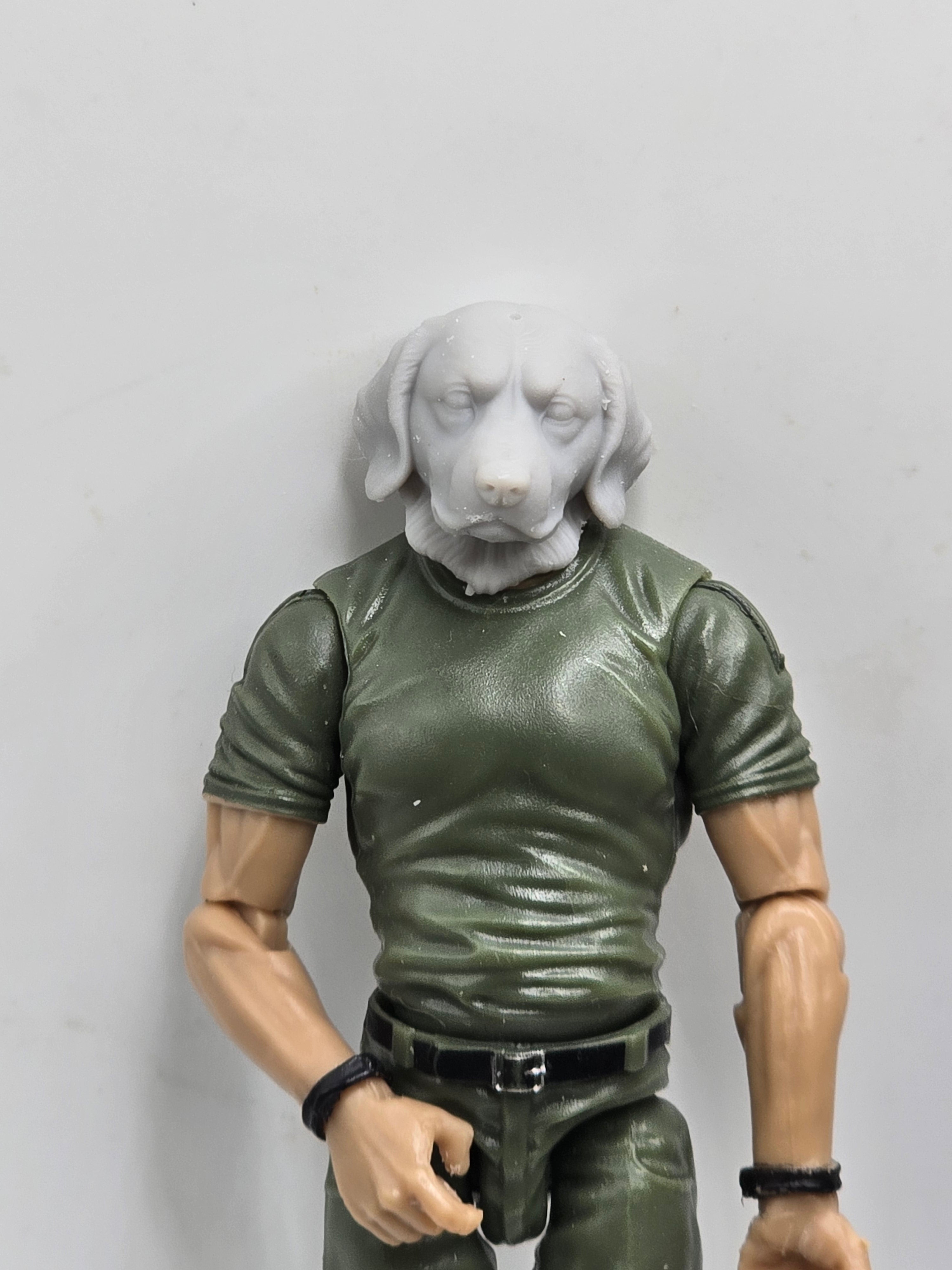 3d Printed Mythic Legions Scale Head 1.0 Golden Retriever Dog Head  1:12 6" Scale.