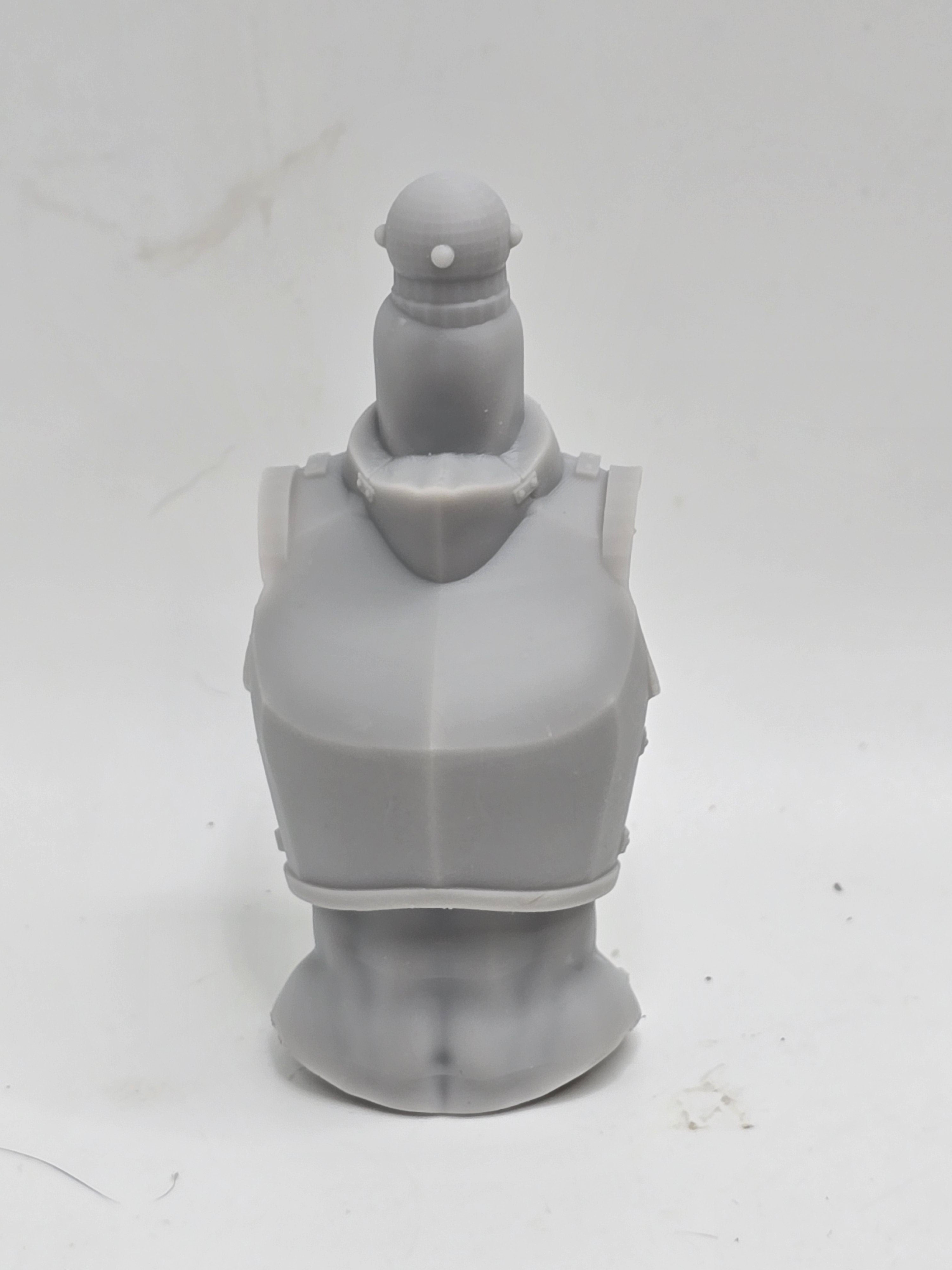 3d Printed Mythic Legions Scale Head 2.0 Female Dark Souls Torso 1:12 6" Scale.