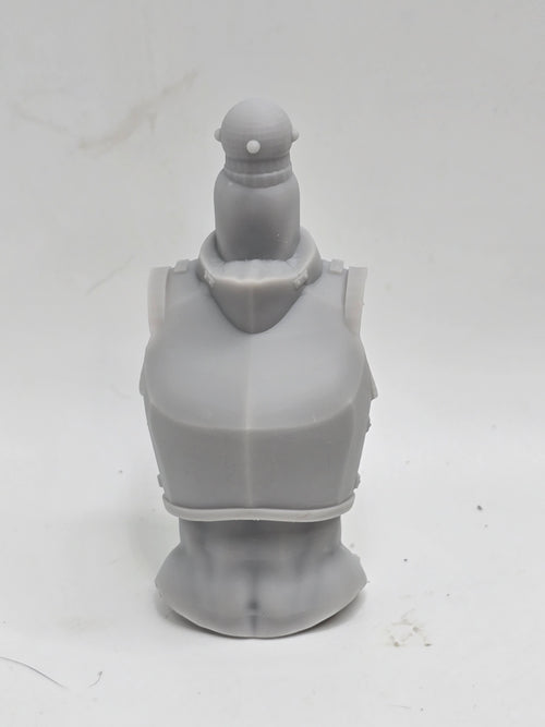 3d Printed Mythic Legions Scale Head 2.0 Female Dark Souls Torso 1:12 6" Scale.