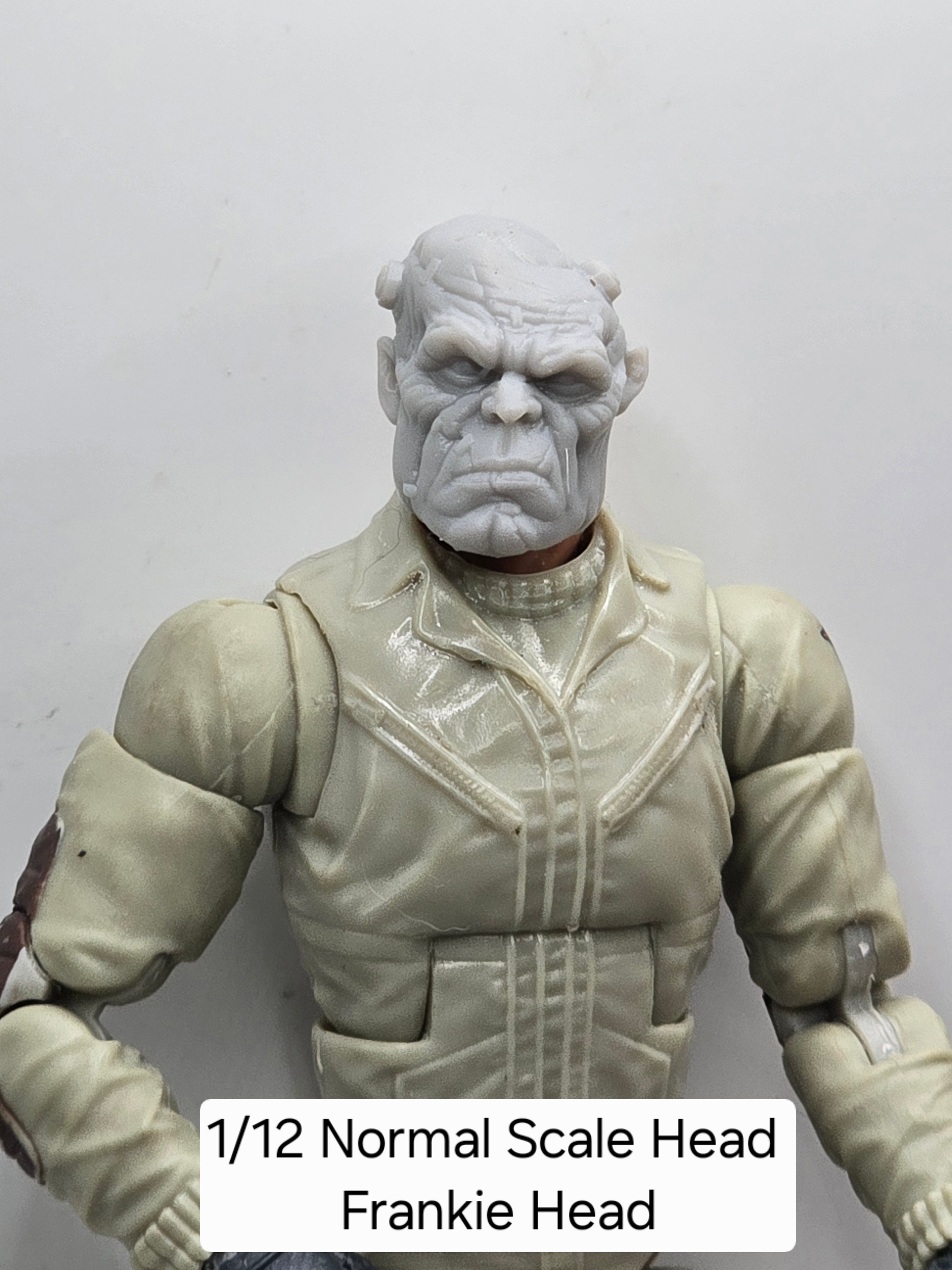 3d Printed Mythic Legions Scale Head 1.0 Frankie Head  1:12 6" Scale.