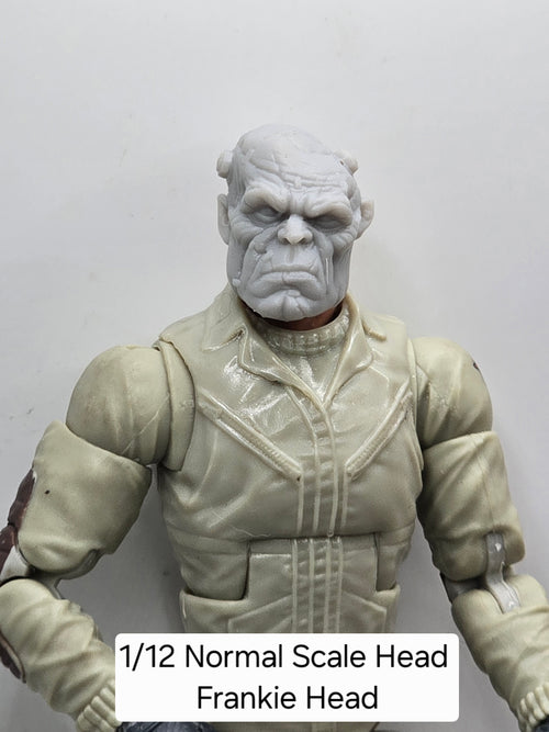 3d Printed Mythic Legions Scale Head 1.0 Frankie Head  1:12 6" Scale.