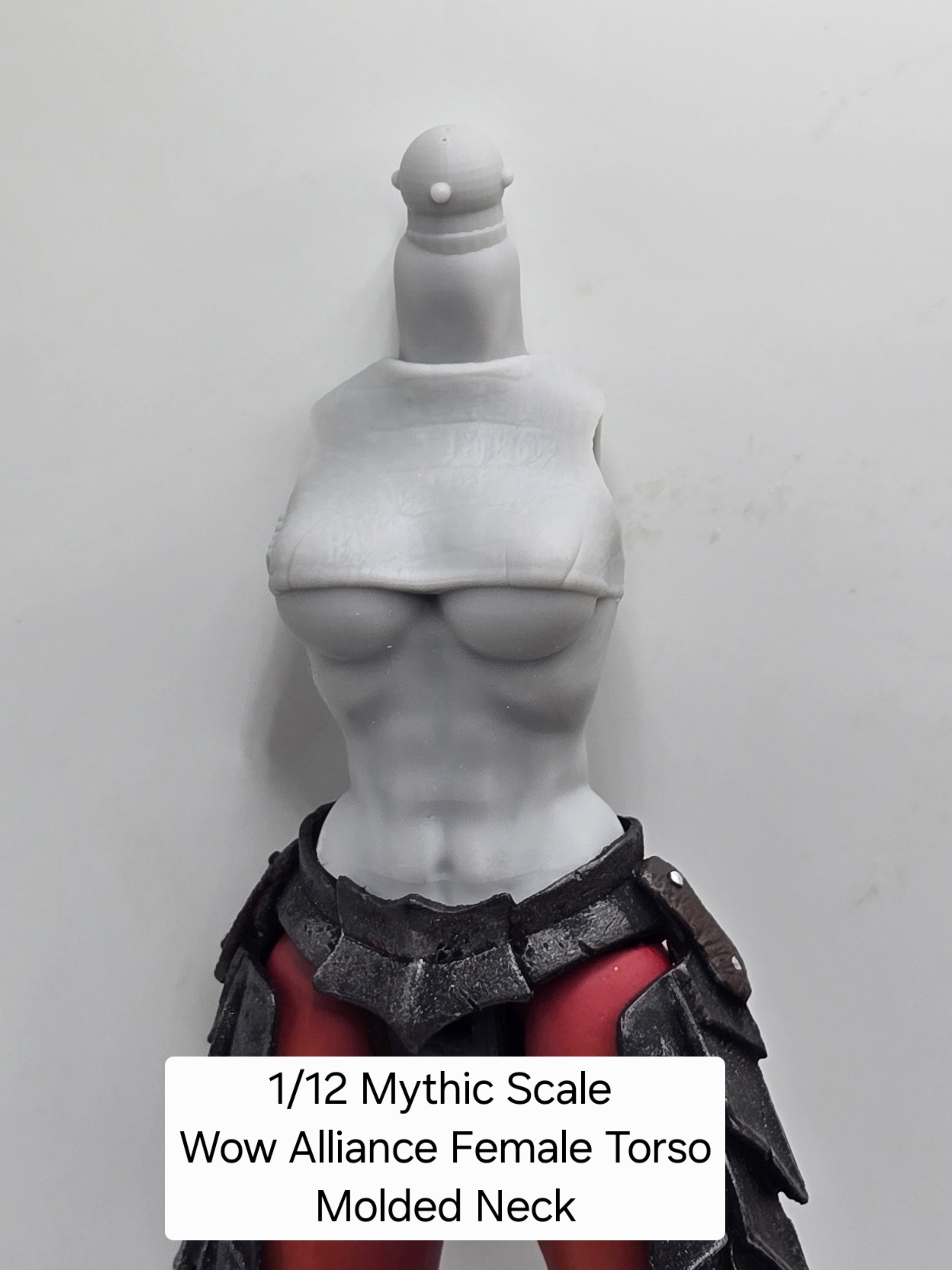 3d Printed Mythic Legions Scale Head 2.0 Wow Alliance Torso 1:12 6" Scale.