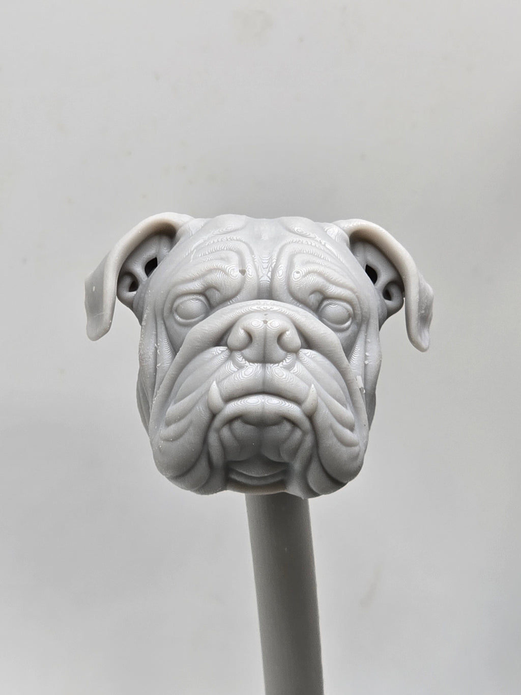 3d Printed Mythic Legions Scale Head 1.0 Bull Dog Dog Head  1:12 6" Scale.