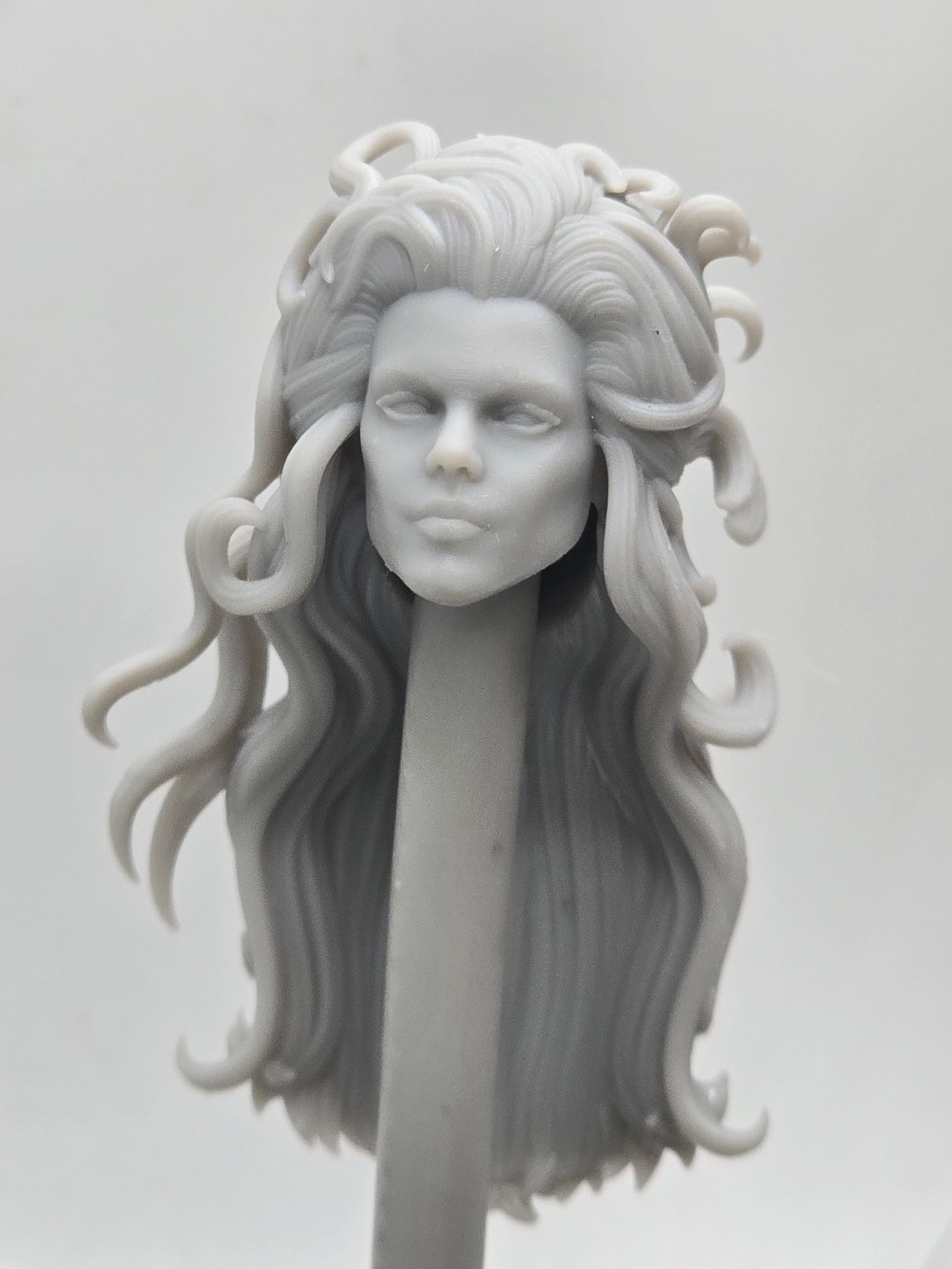 Custom 3d Printed Classified Legends Compatible Comic Multiverse Dual Face Spice Heads 1/12 1-10 1/18 Scale