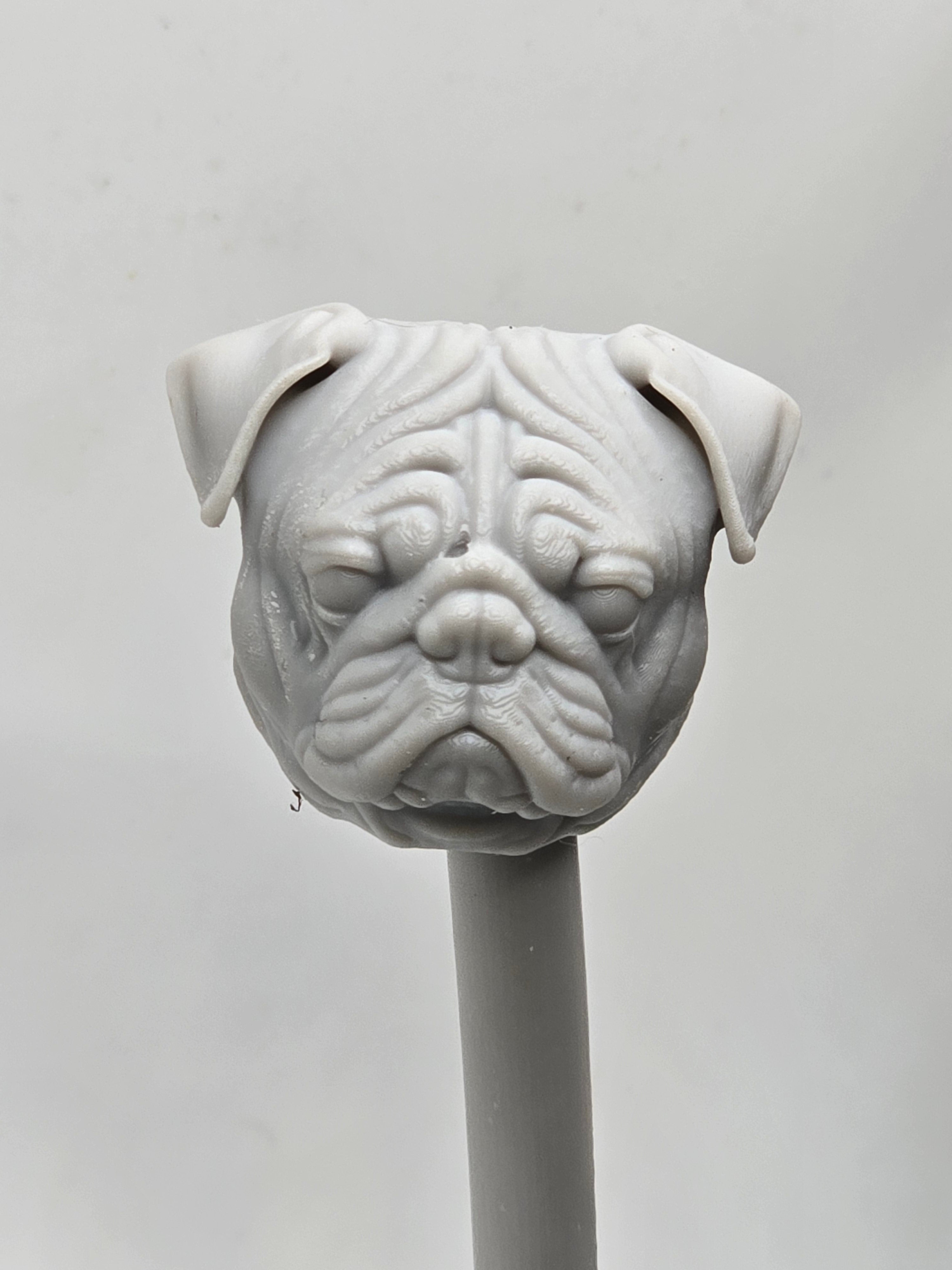 3d Printed Mythic Legions Scale Head 1.0 Pug Head  1:12 6" Scale.