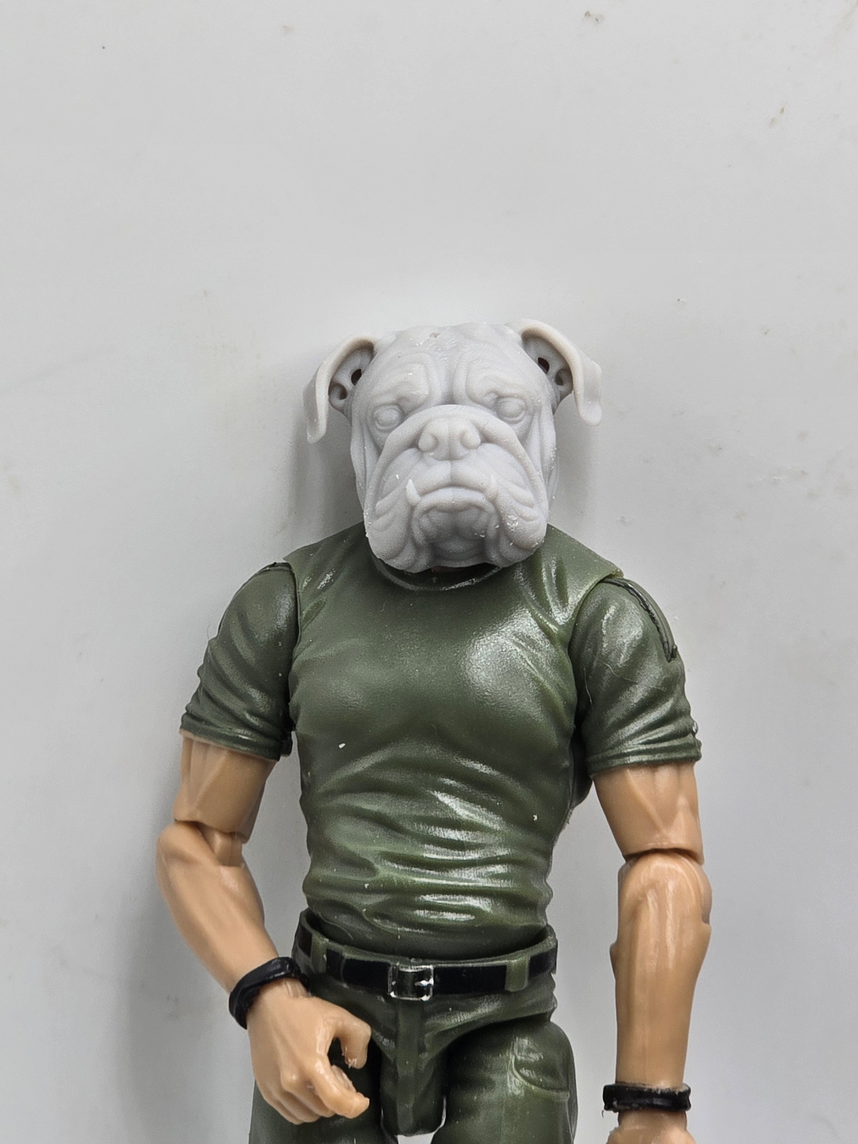 3d Printed Mythic Legions Scale Head 1.0 Bull Dog Dog Head  1:12 6" Scale.