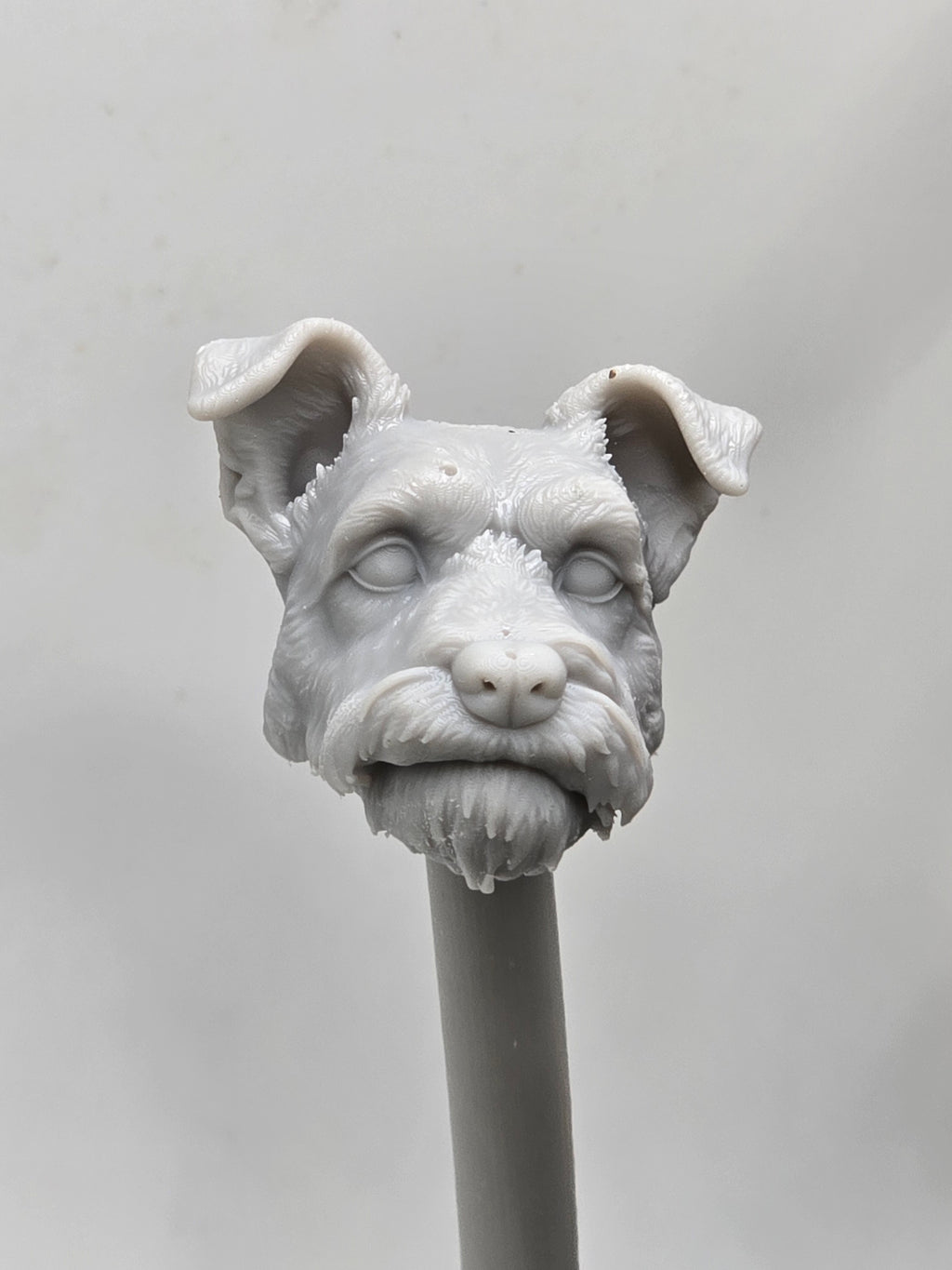 3d Printed Mythic Legions Scale Head 1.0 Schnauser Dog Head  1:12 6" Scale.