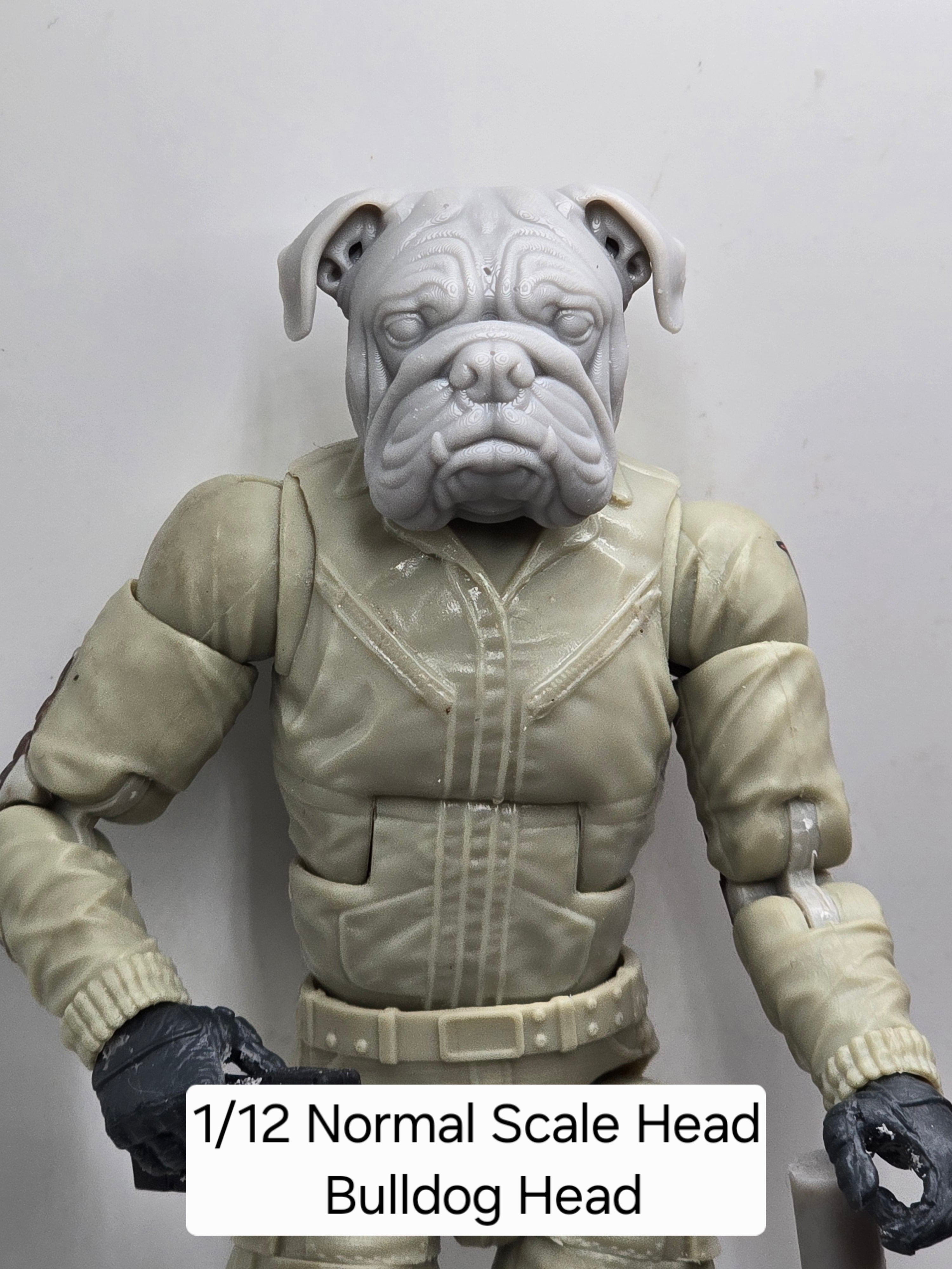 3d Printed Mythic Legions Scale Head 1.0 Bull Dog Dog Head  1:12 6" Scale.