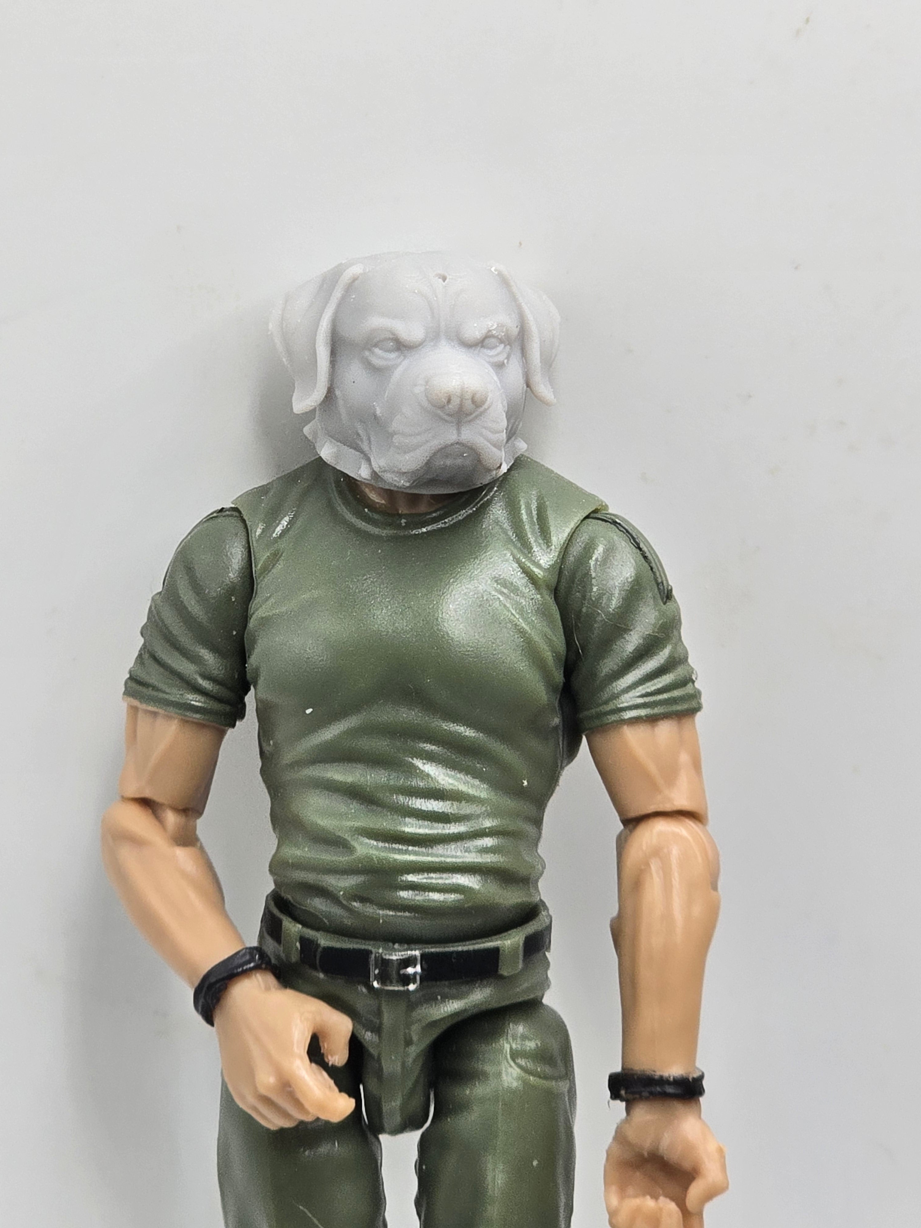 3d Printed Mythic Legions Scale Head 1.0 Rottweiler Dog Head  1:12 6" Scale.