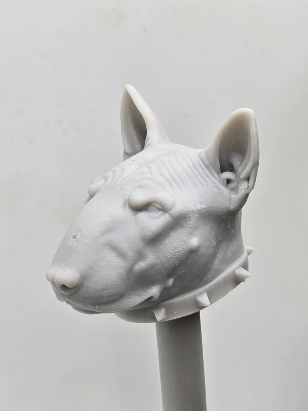 3d Printed Mythic Legions Scale Head 1.0 Bull Terrier Dog Head  1:12 6" Scale.
