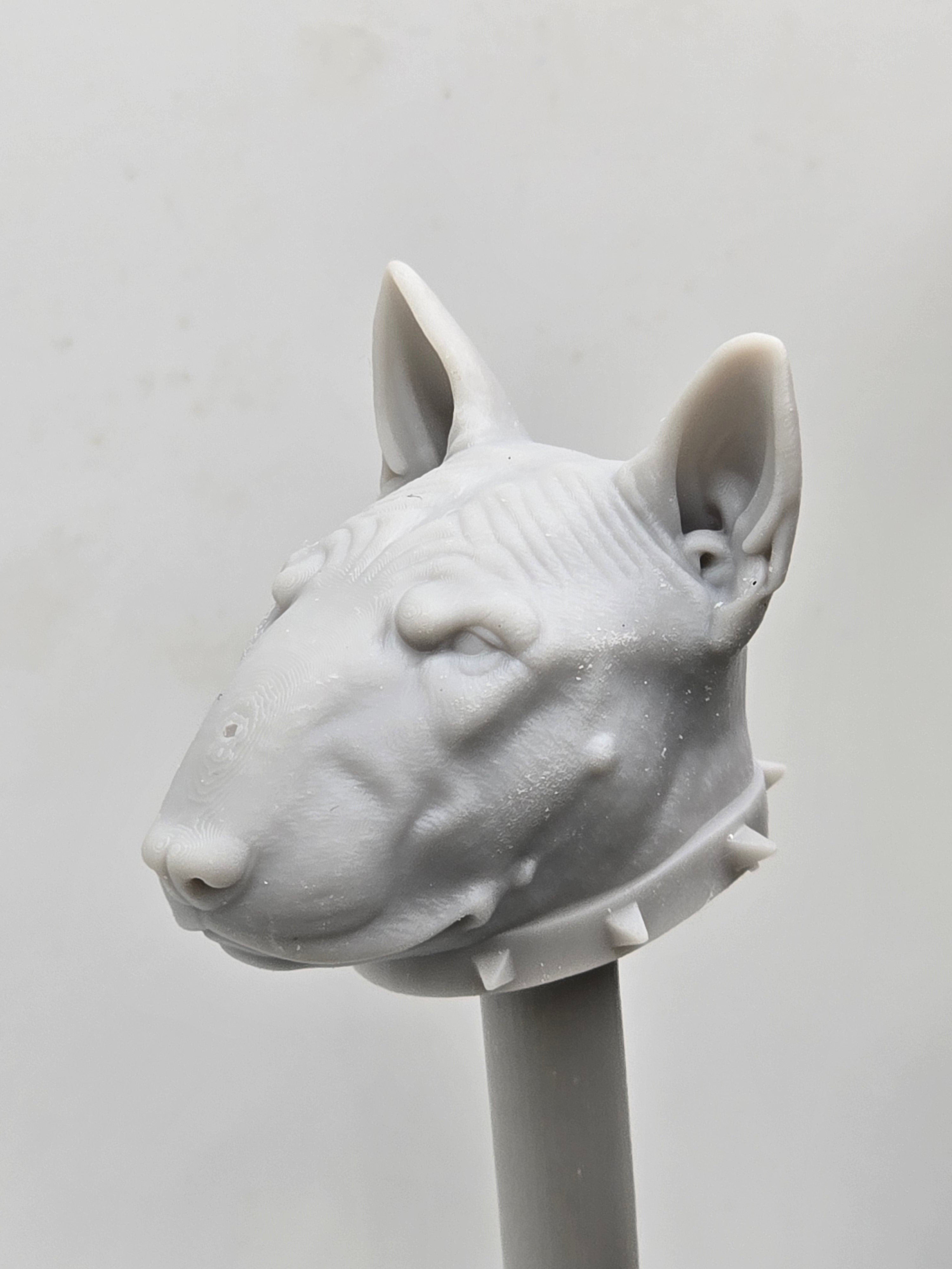 3d Printed Mythic Legions Scale Head 1.0 Bull Terrier Dog Head  1:12 6" Scale.