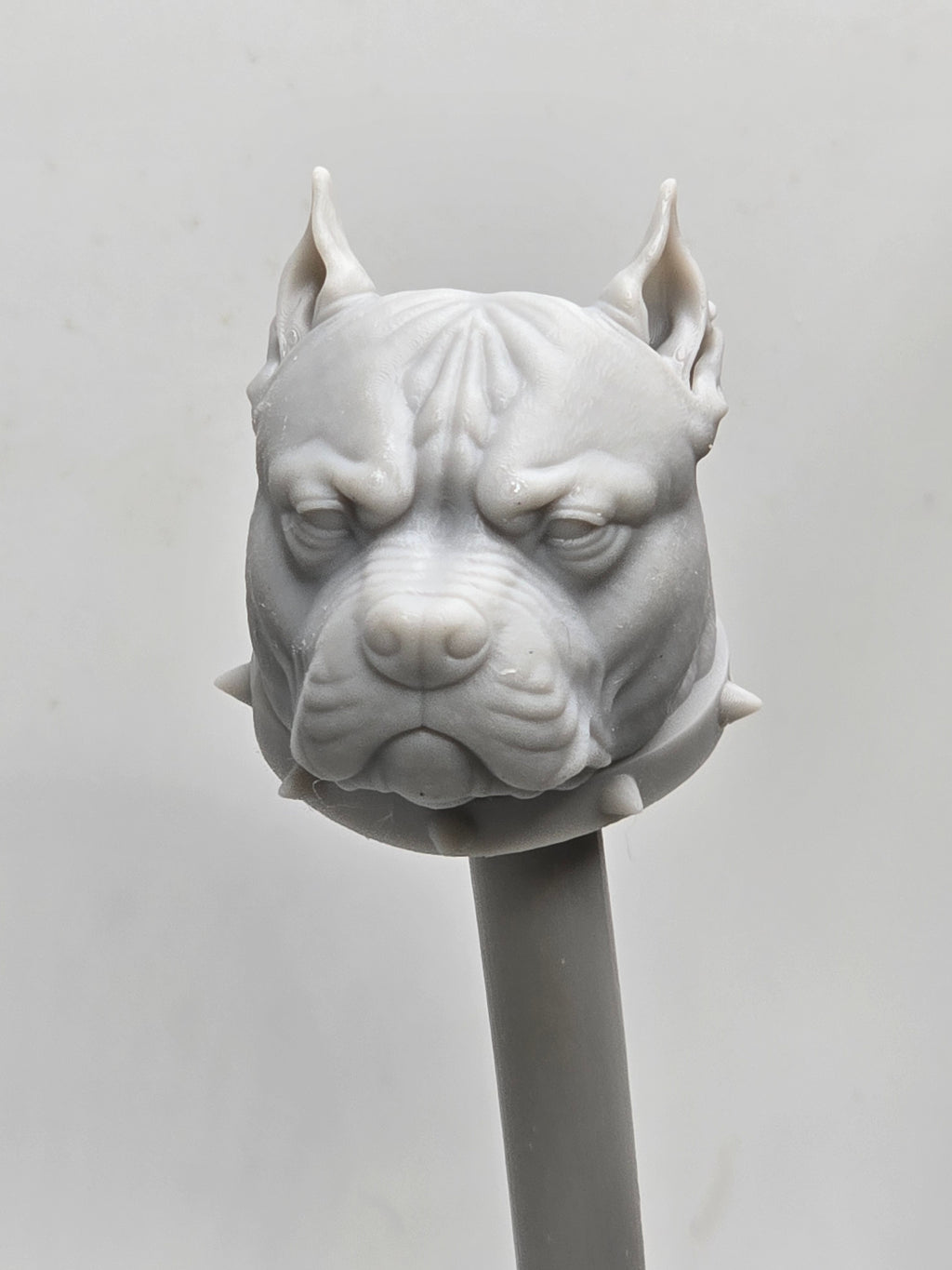 3d Printed Mythic Legions Scale Head 1.0 Pitt Bull Dog Head  1:12 6" Scale.