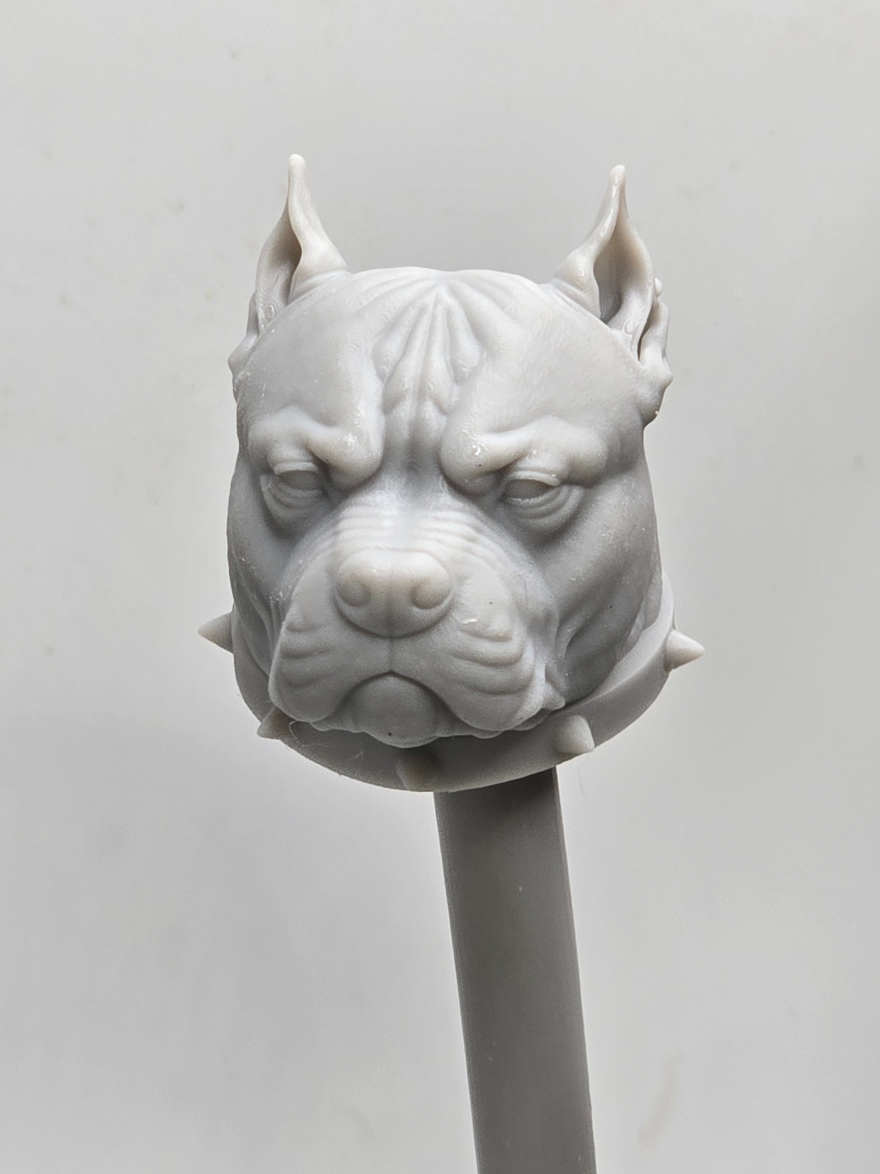 3d Printed Mythic Legions Scale Head 1.0 Pitt Bull Dog Head  1:12 6" Scale.