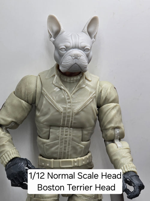 3d Printed Mythic Legions Scale Head 1.0 Boston Terrier Head  1:12 6" Scale.