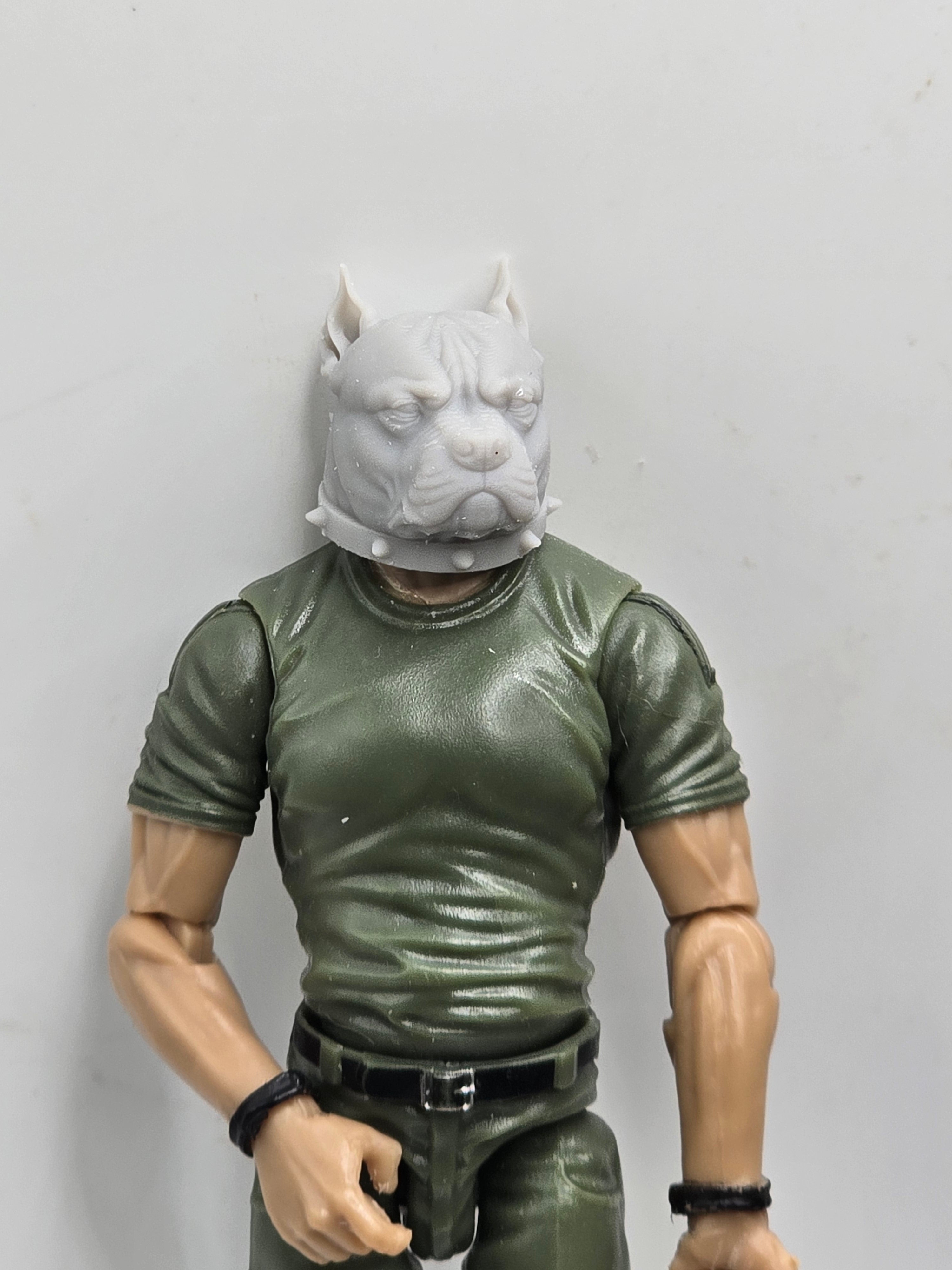 3d Printed Mythic Legions Scale Head 1.0 Pitt Bull Dog Head  1:12 6" Scale.