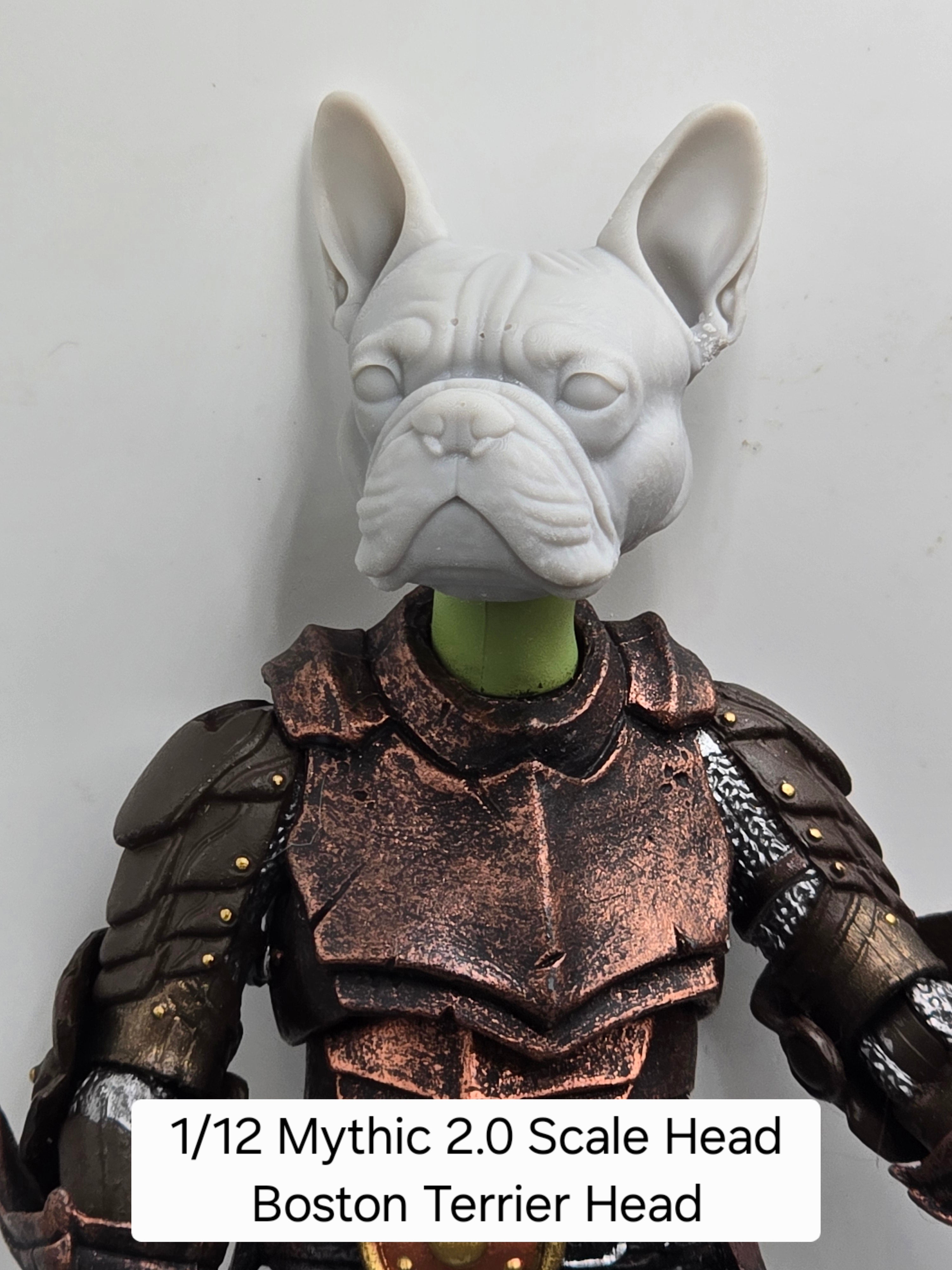 3d Printed Mythic Legions Scale Head 1.0 Boston Terrier Head  1:12 6" Scale.