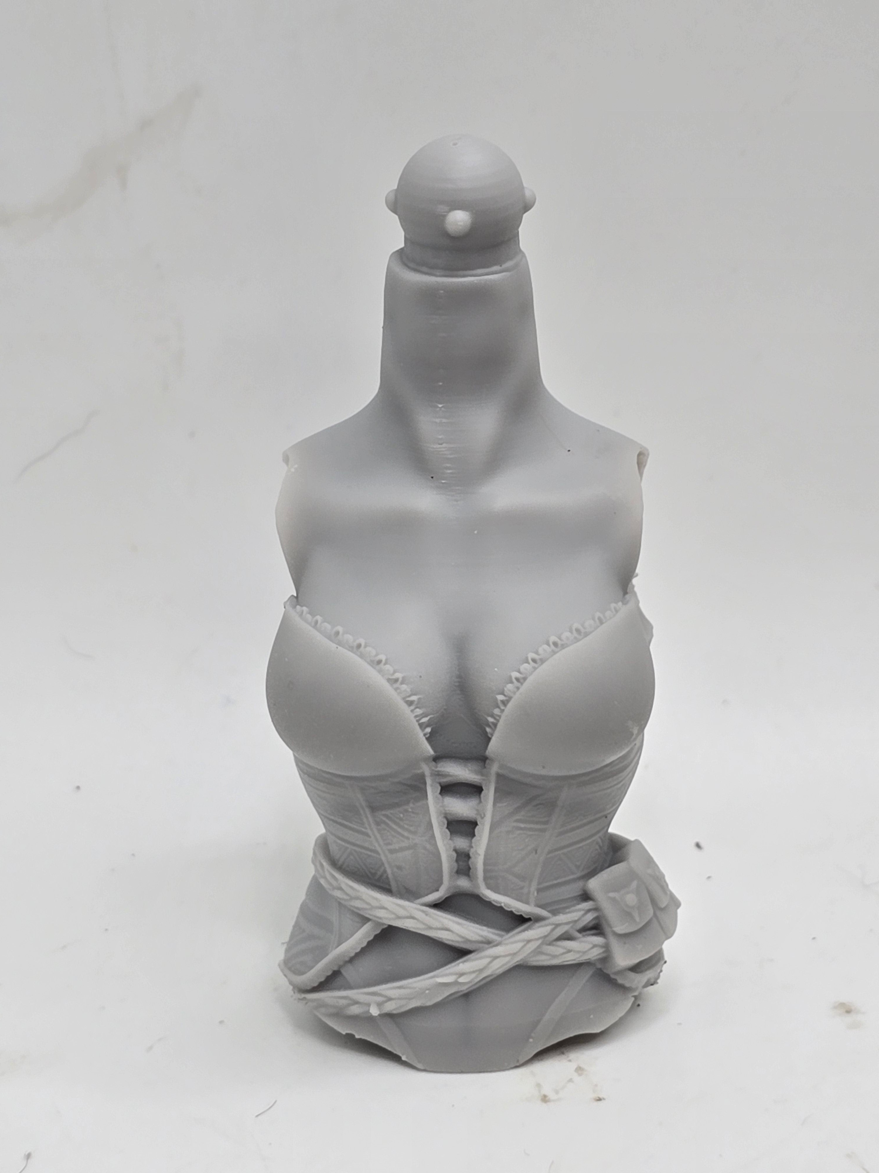 3d Printed Mythic Legions Scale Head 2.0 Female Elf w/Straps Torso 1:12 6" Scale.