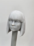 Custom 3d Printed Classified Legends Compatible Comic Multiverse Dinosaur Kingdom Bryce Dallas Claire Heads 1/12 1-10 1/18 Scale