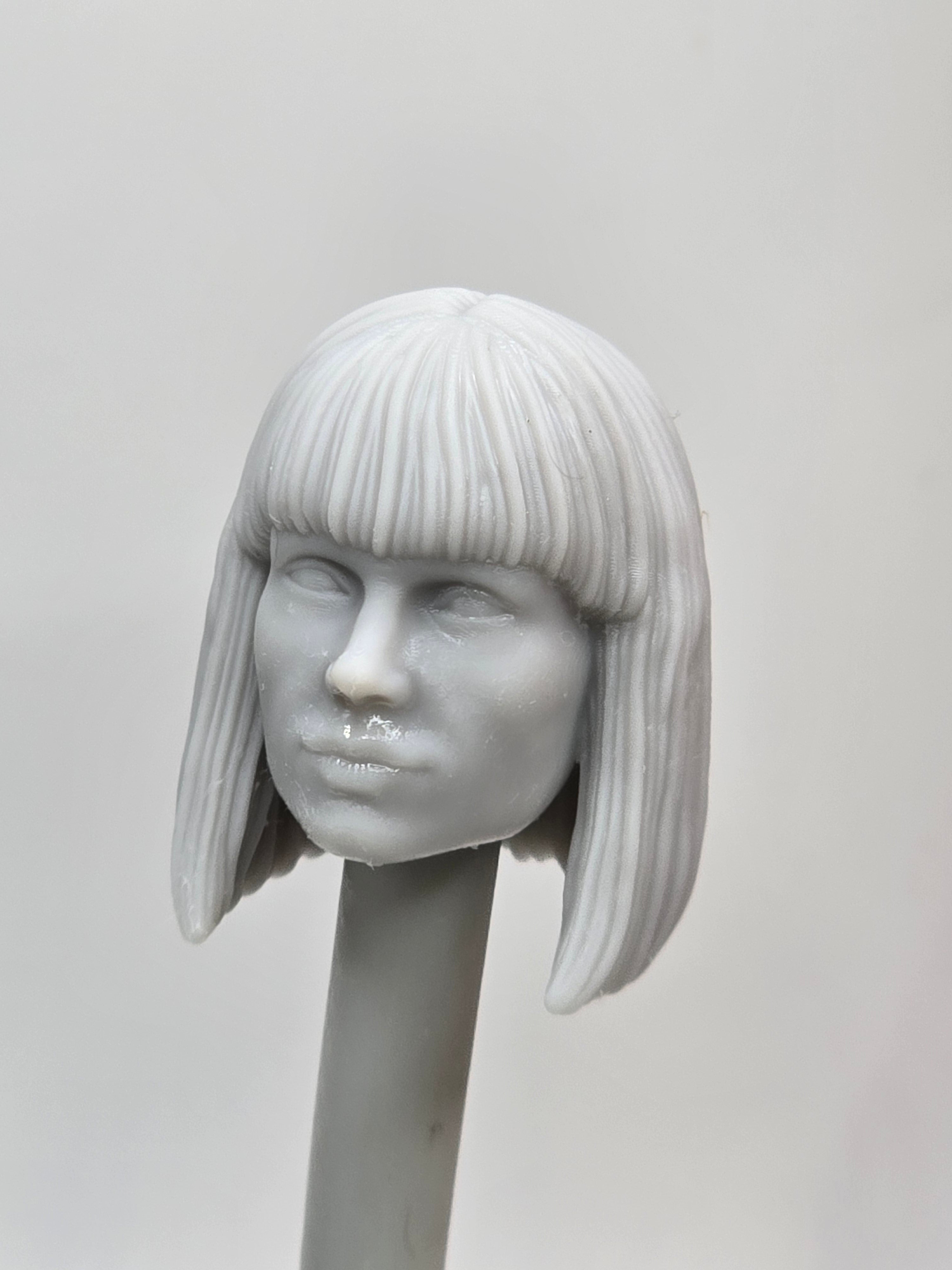 Custom 3d Printed Classified Legends Compatible Comic Multiverse Dinosaur Kingdom Bryce Dallas Claire Heads 1/12 1-10 1/18 Scale