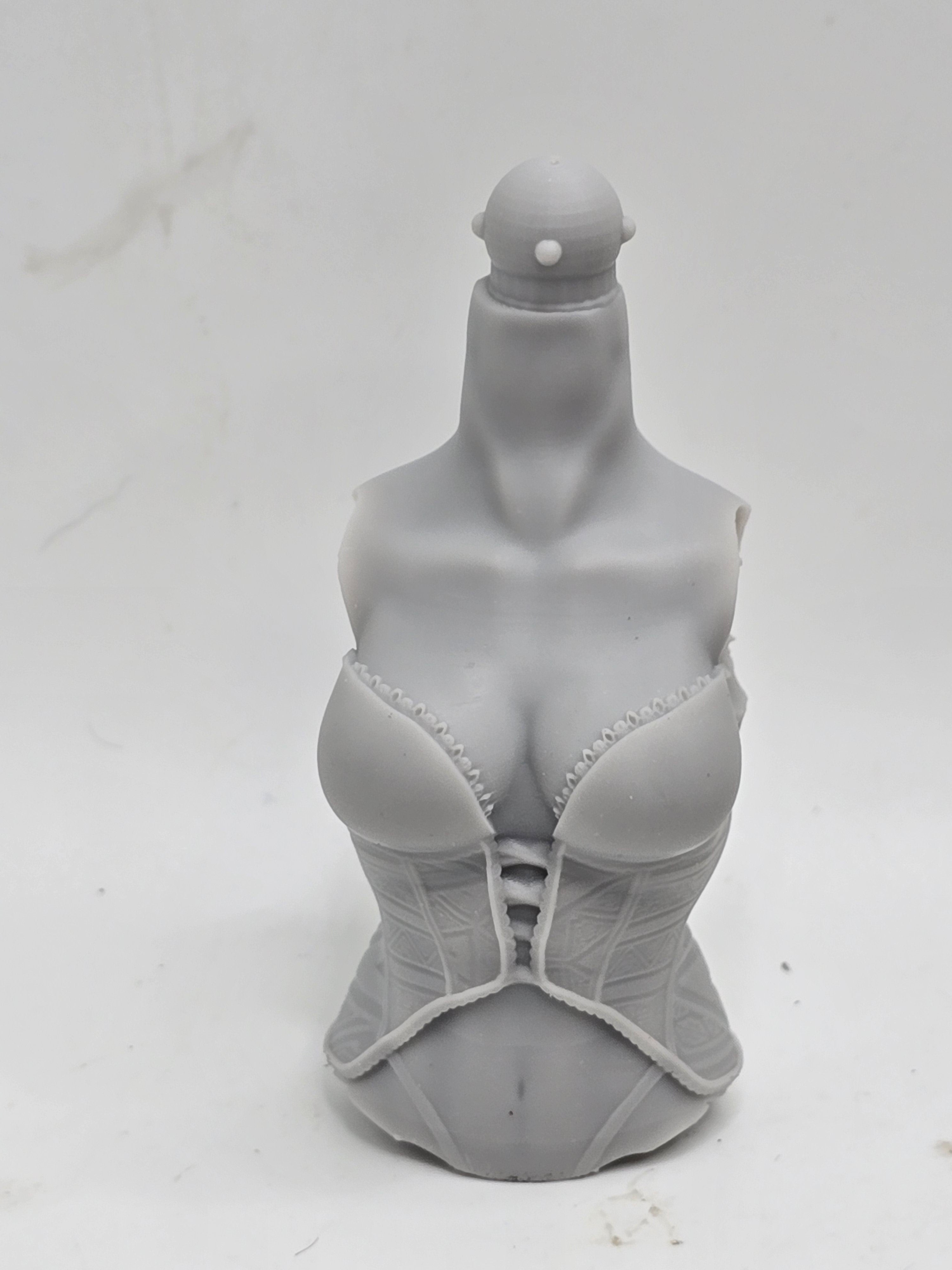 3d Printed Mythic Legions Scale Head 2.0 Female Elf Torso 1:12 6" Scale.