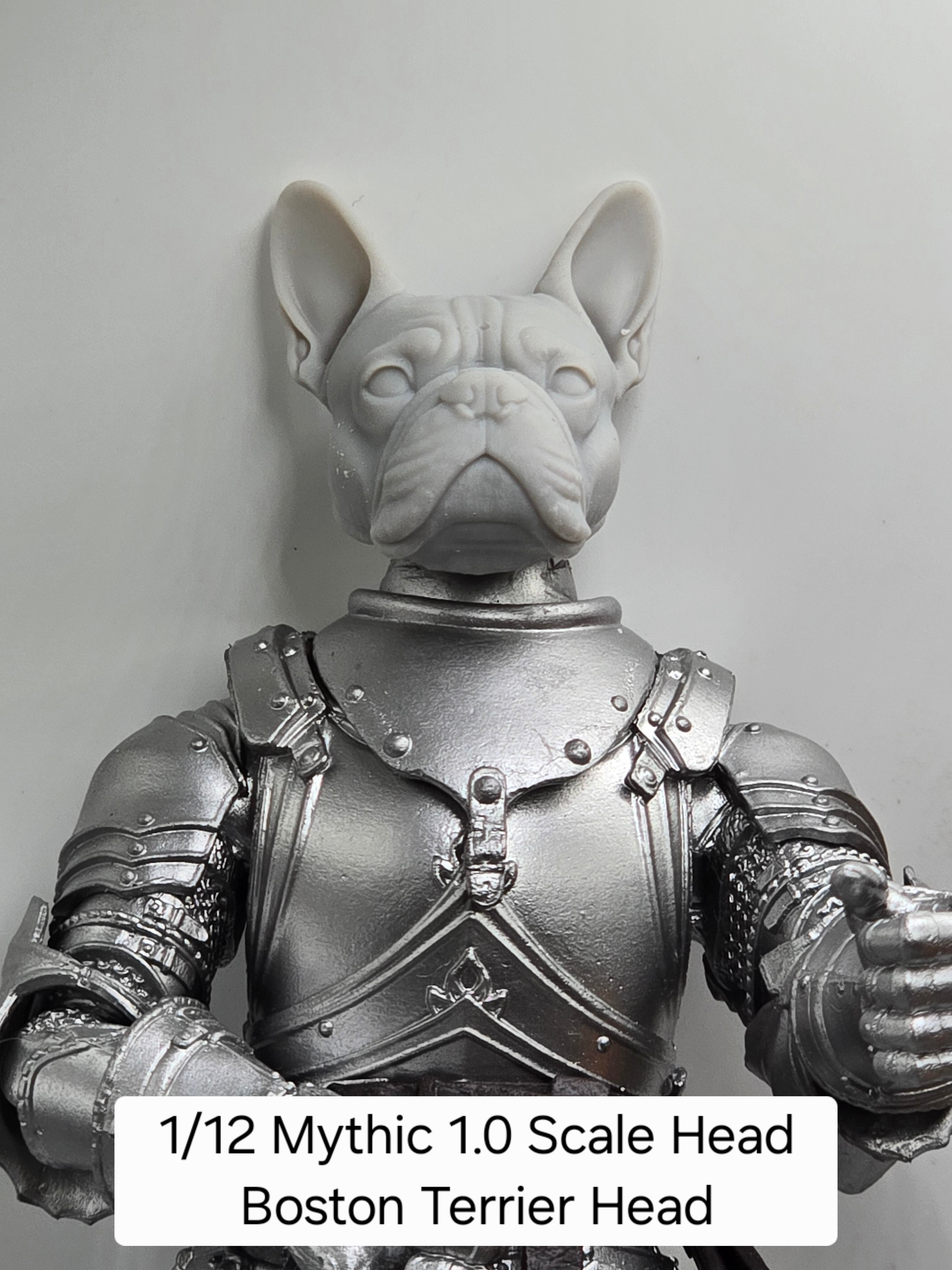 3d Printed Mythic Legions Scale Head 1.0 Boston Terrier Head  1:12 6" Scale.