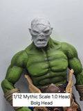 3d Printed Mythic Legions Scale Head 1.0 Orc Blog Head  1:12 6" Scale.