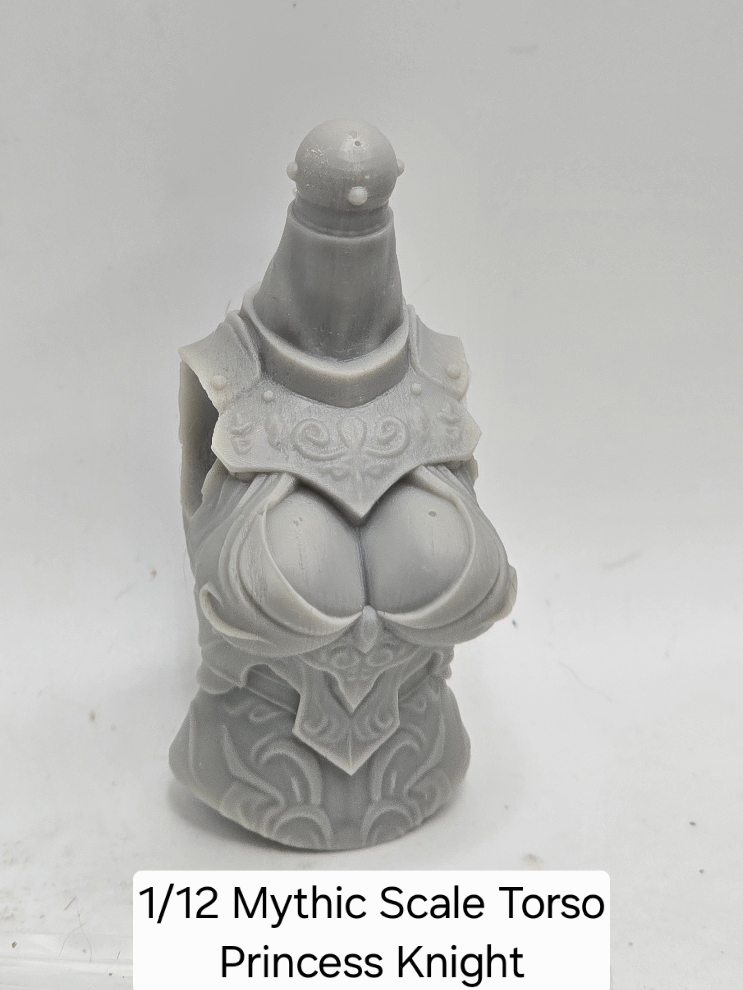 3d Printed Mythic Legions Scale Head 2.0 Princess Knight Torso 1:12 6" Scale.