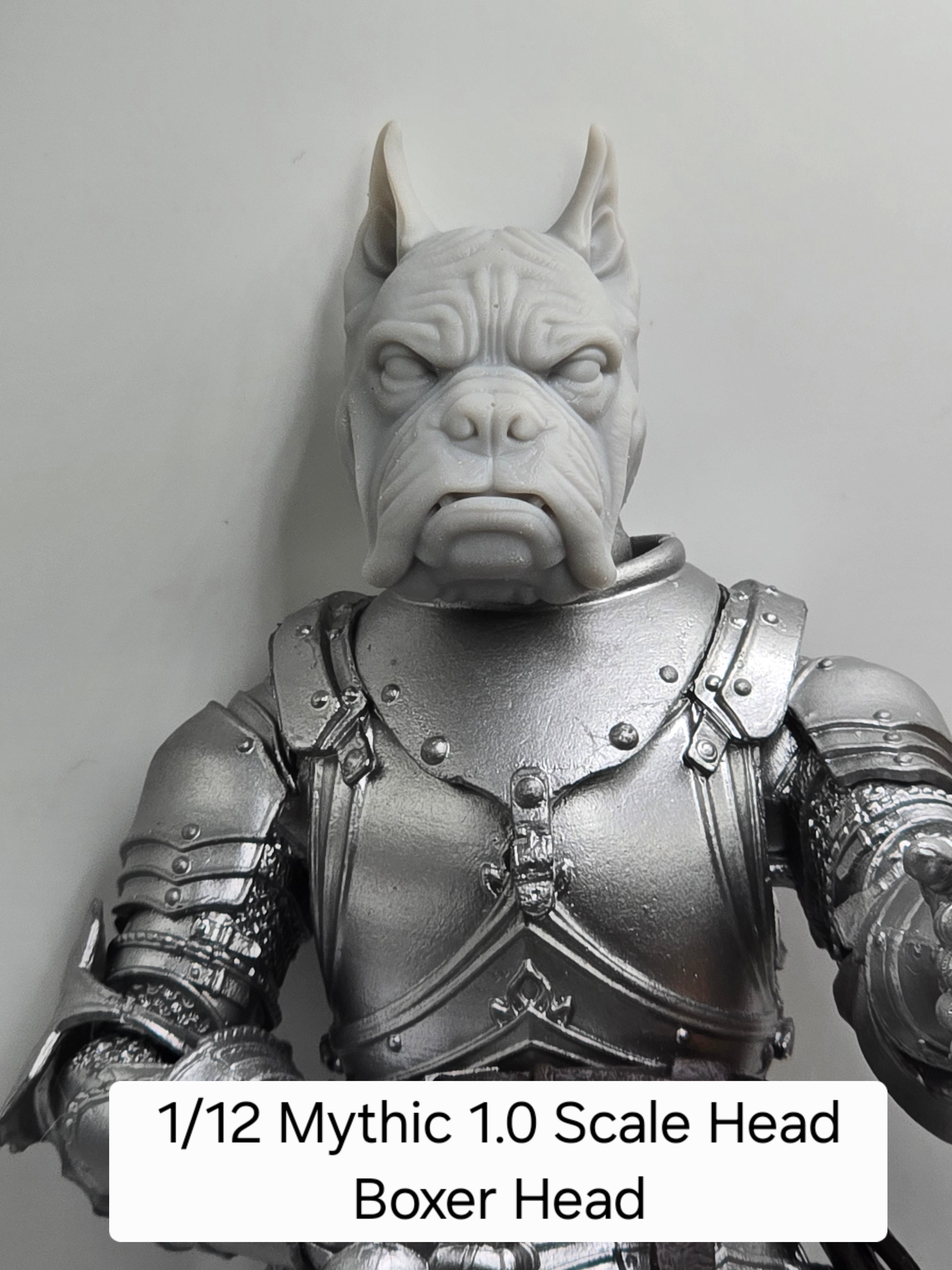 3d Printed Mythic Legions Scale Head 1.0 Boxer Dog Head  1:12 6" Scale.