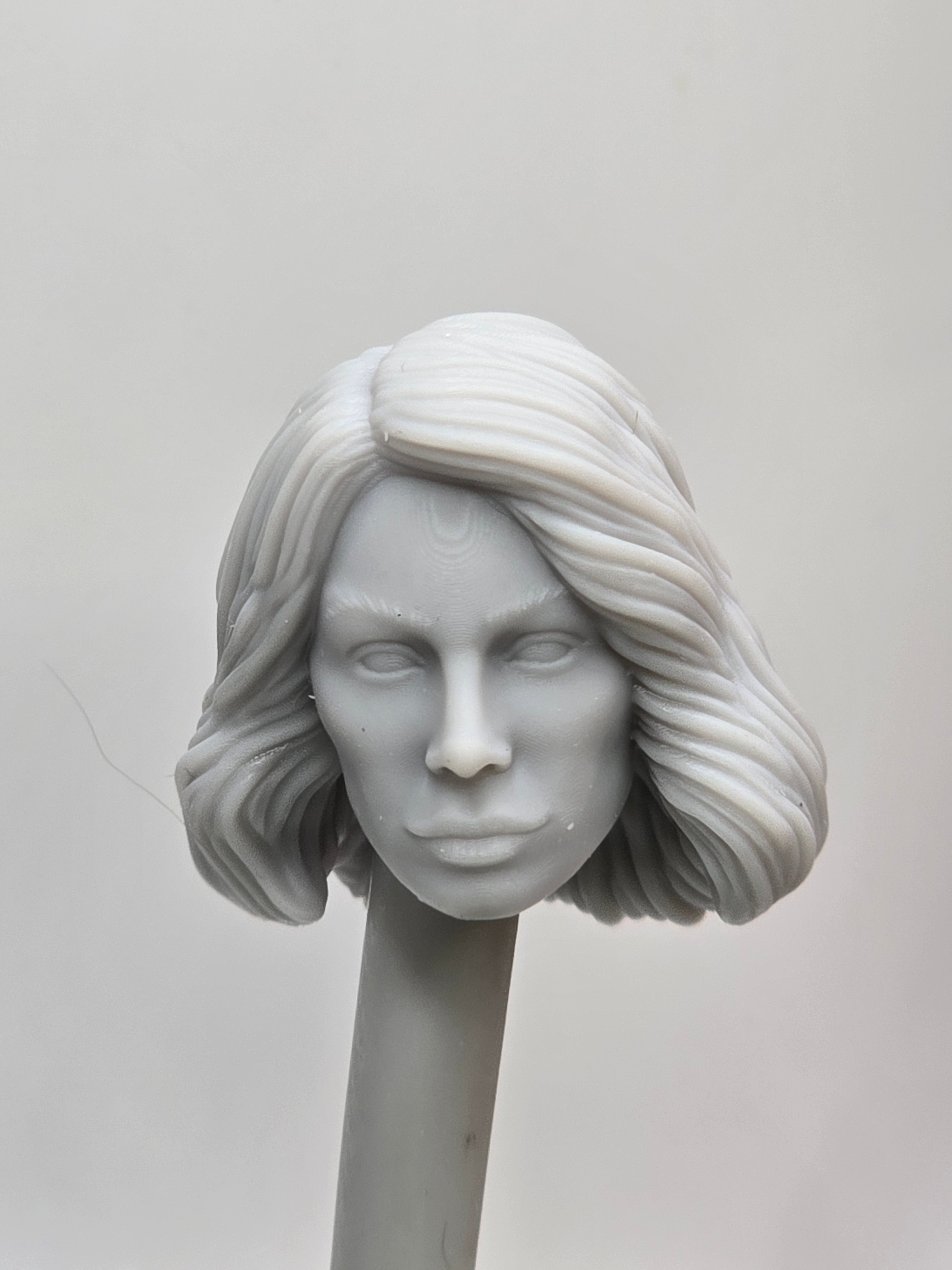 Custom 3d Printed Classified Legends Compatible Comic Multiverse Maker of Peace Jennifer Harcourt Heads 1/12 1-10 1/18 Scale