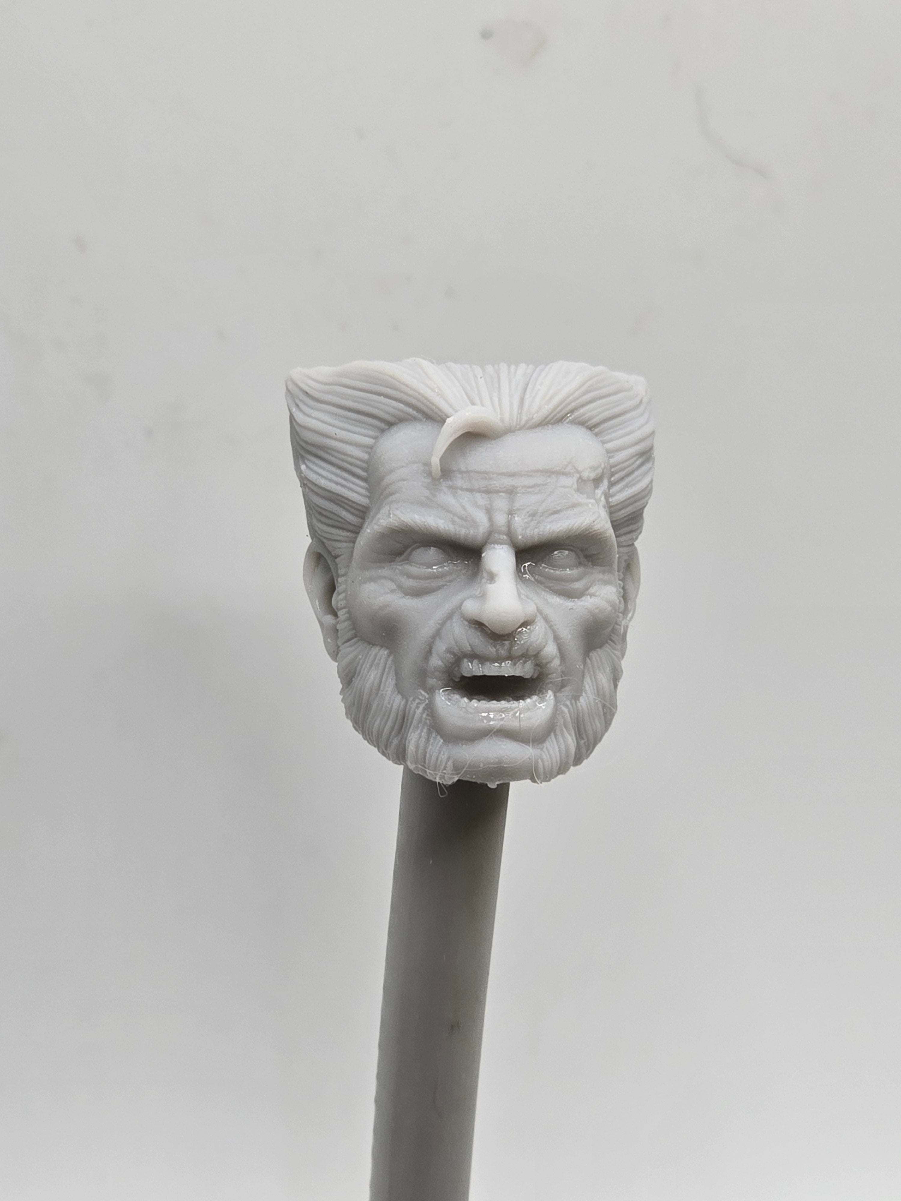 Custom 3d Printed Classified Legends Compatible Comic Multiverse Zombie Clawman Heads Heads 1/12 1-10 1/18 Scale