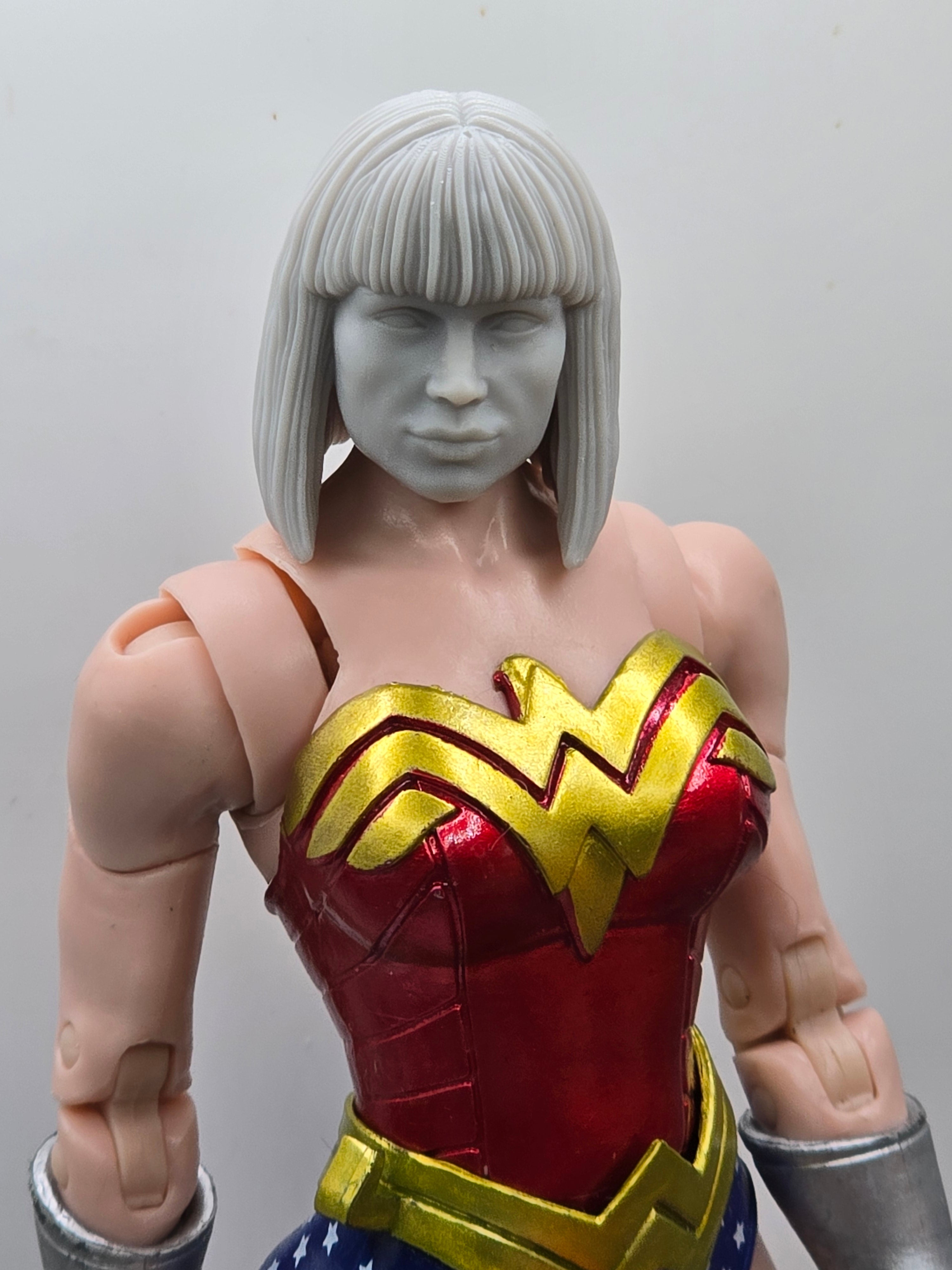 Custom 3d Printed Classified Legends Compatible Comic Multiverse Dinosaur Kingdom Bryce Dallas Claire Heads 1/12 1-10 1/18 Scale