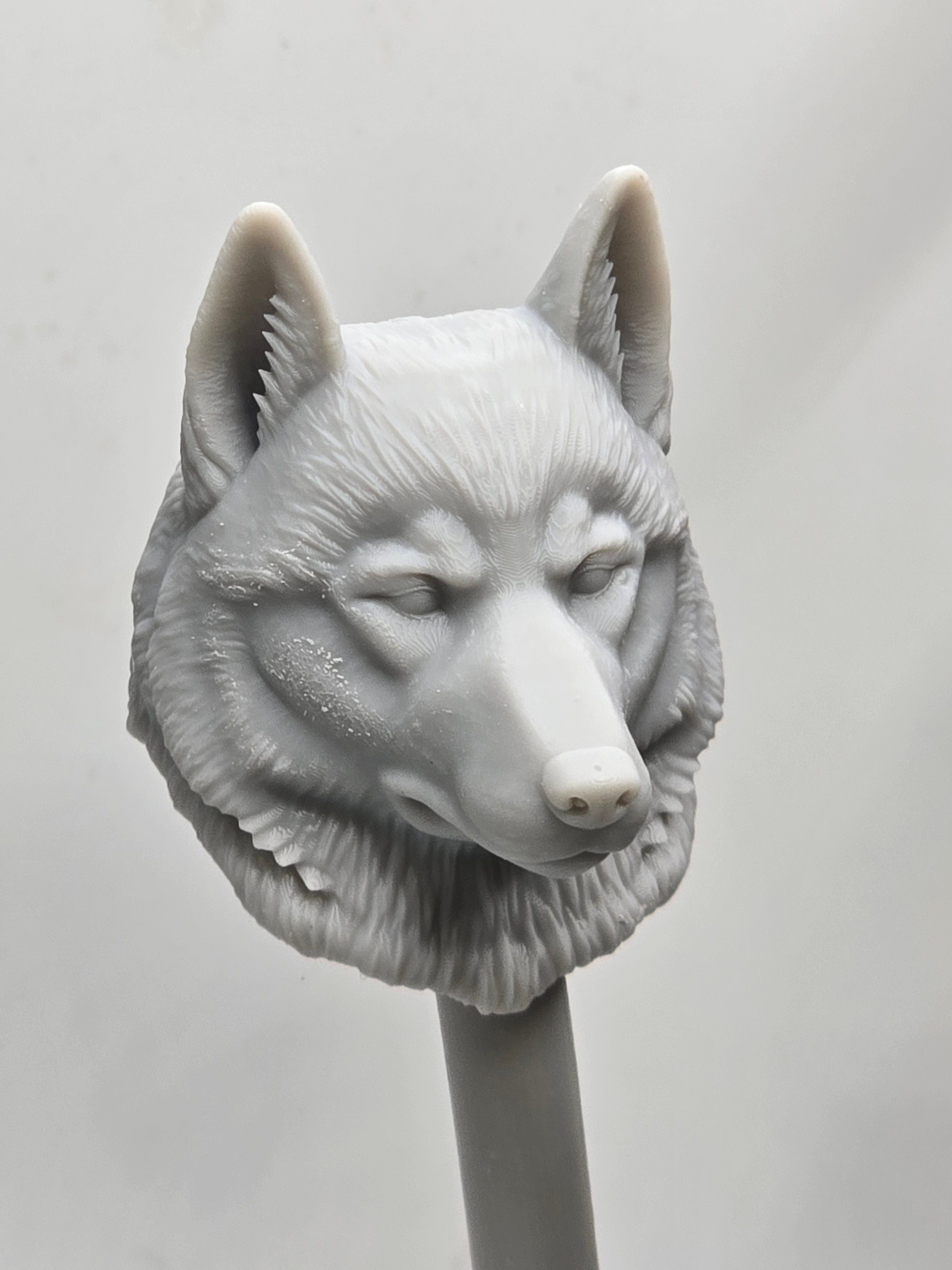 3d Printed Mythic Legions Scale Head 1.0 Husky Dog Head  1:12 6" Scale.