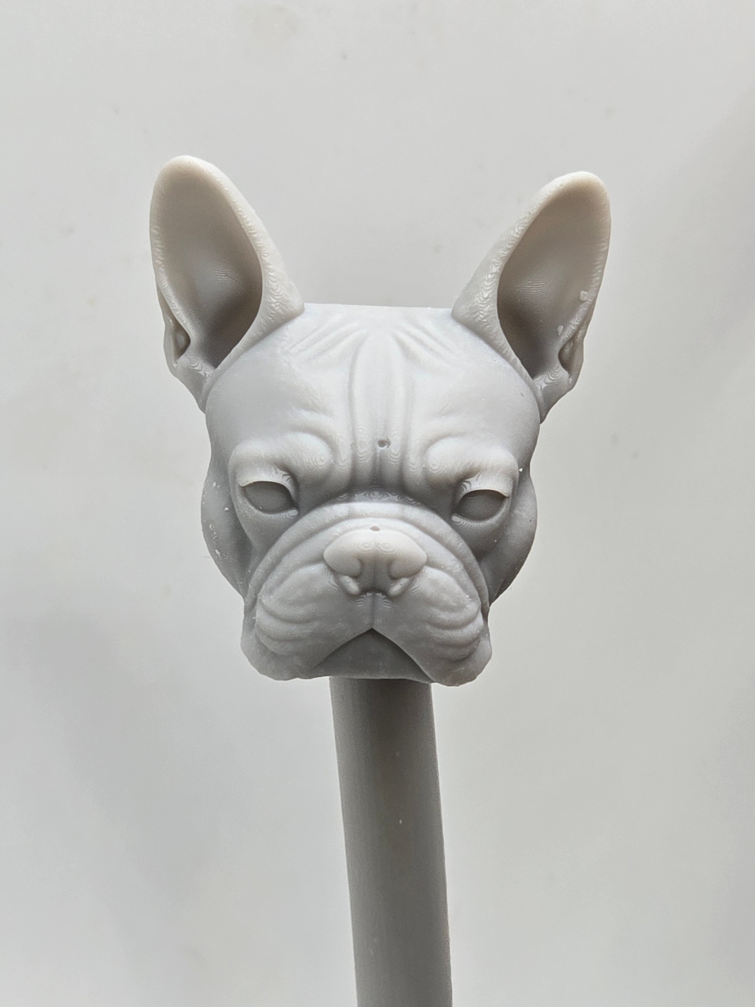3d Printed Mythic Legions Scale Head 1.0 Boston Terrier Head  1:12 6" Scale.