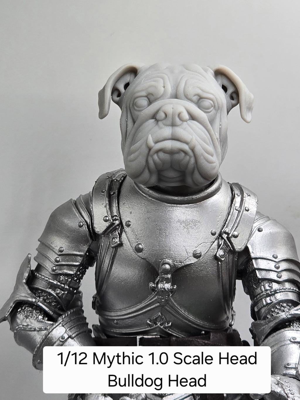 3d Printed Mythic Legions Scale Head 1.0 Bull Dog Dog Head  1:12 6" Scale.