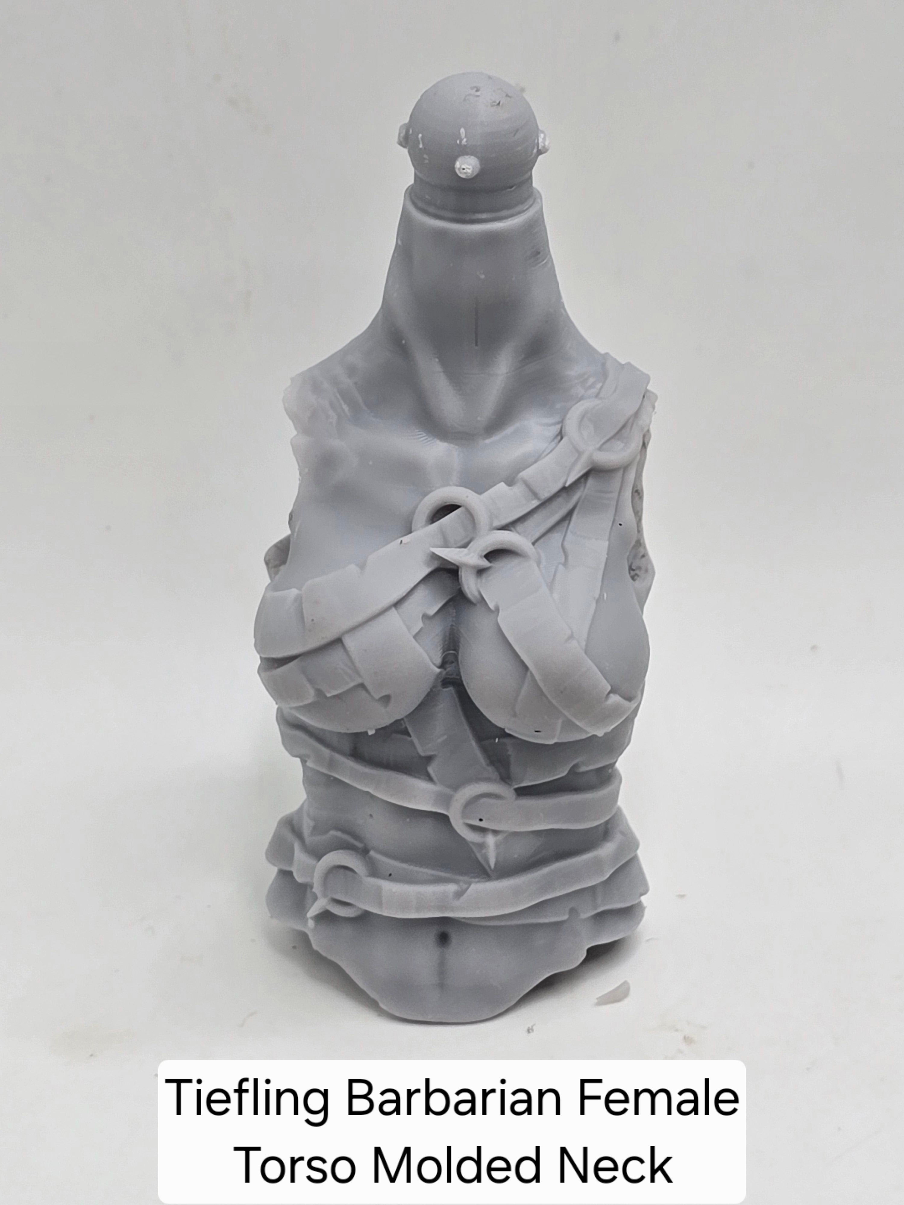 3d Printed Mythic Legions Scale Head 2.0 Tiefling Barbarian Torso 1:12 6" Scale.