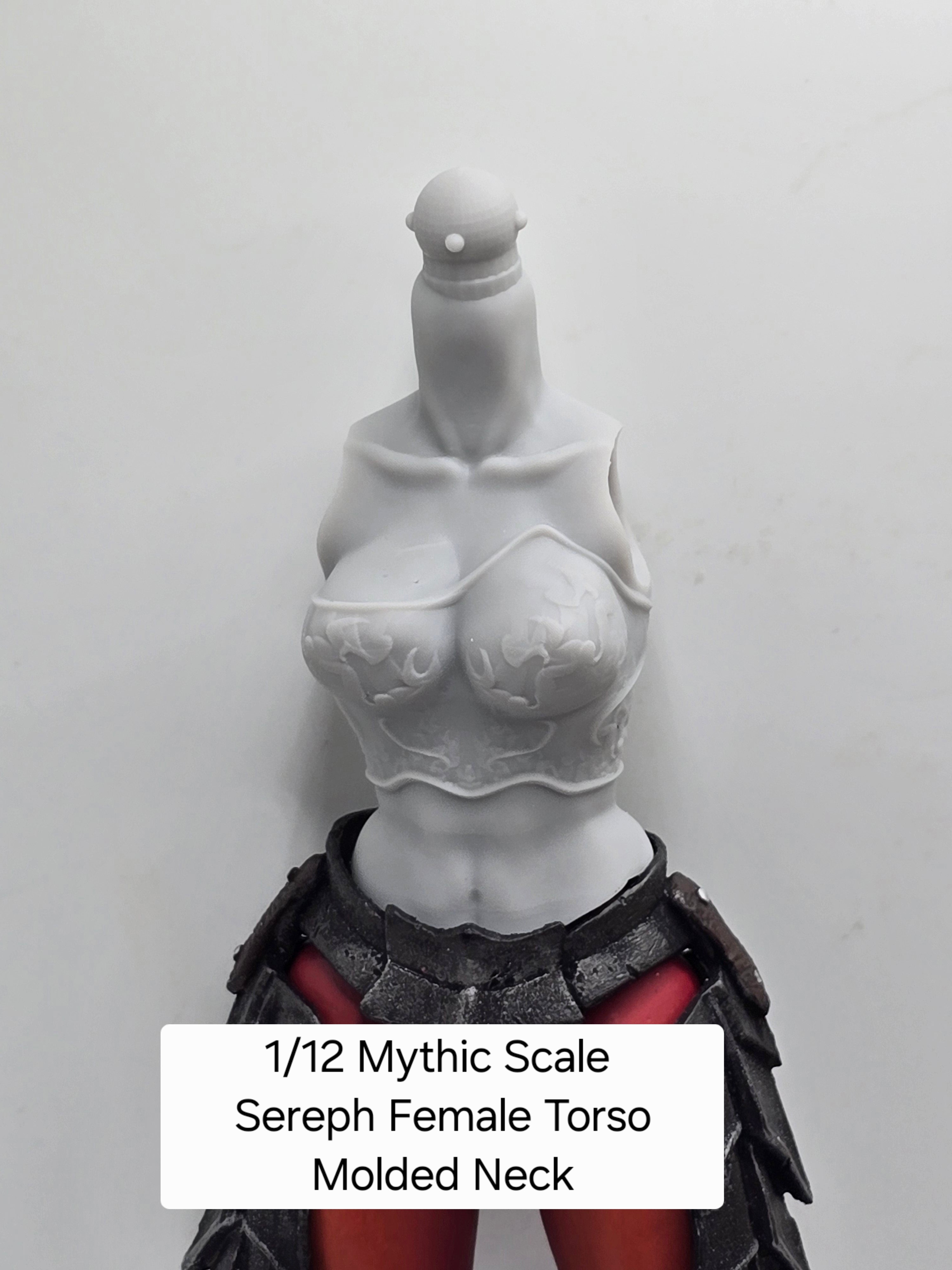 3d Printed Mythic Legions Scale Head 2.0 Sereph Torso 1:12 6" Scale.