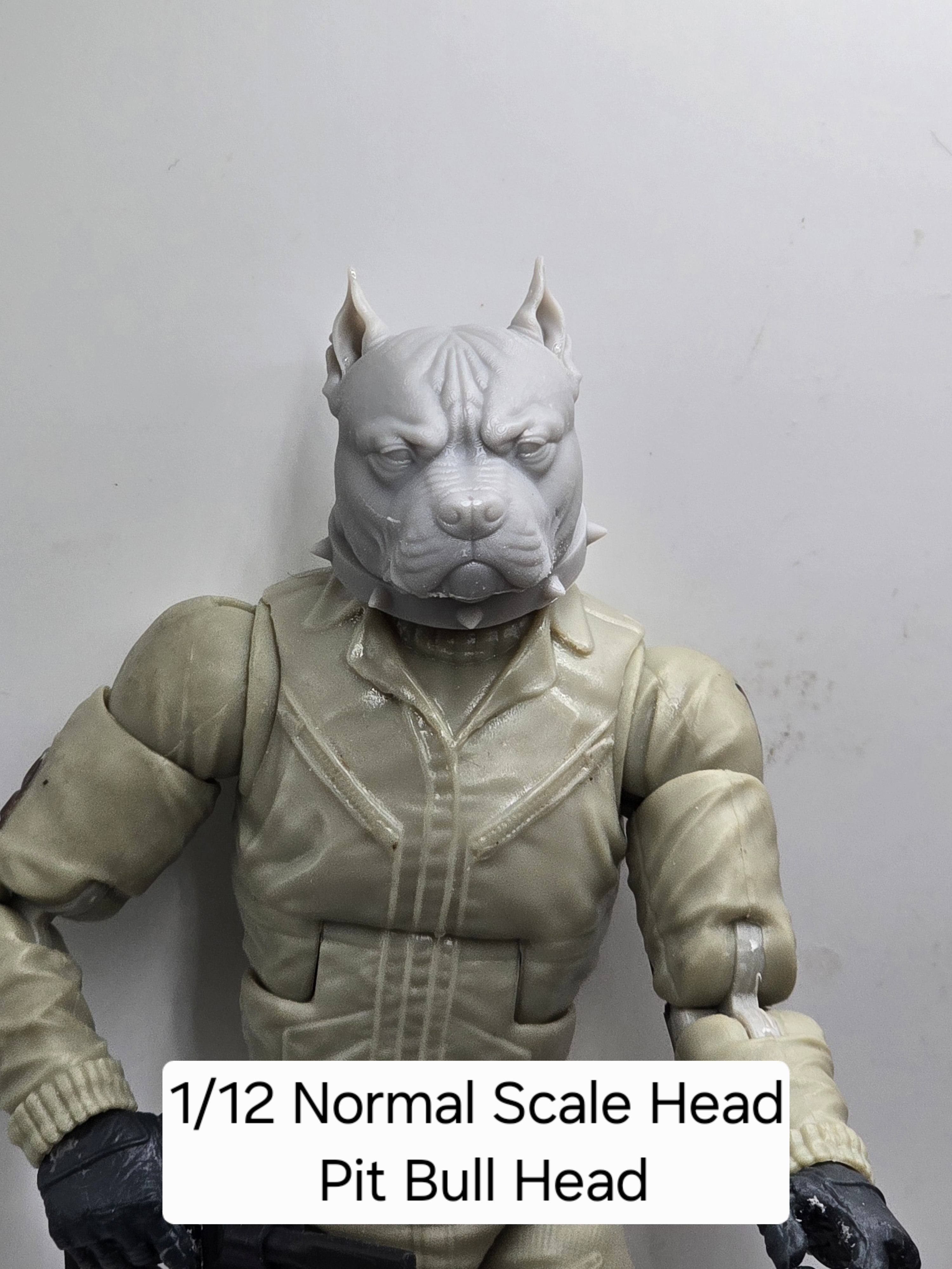 3d Printed Mythic Legions Scale Head 1.0 Pitt Bull Dog Head  1:12 6" Scale.