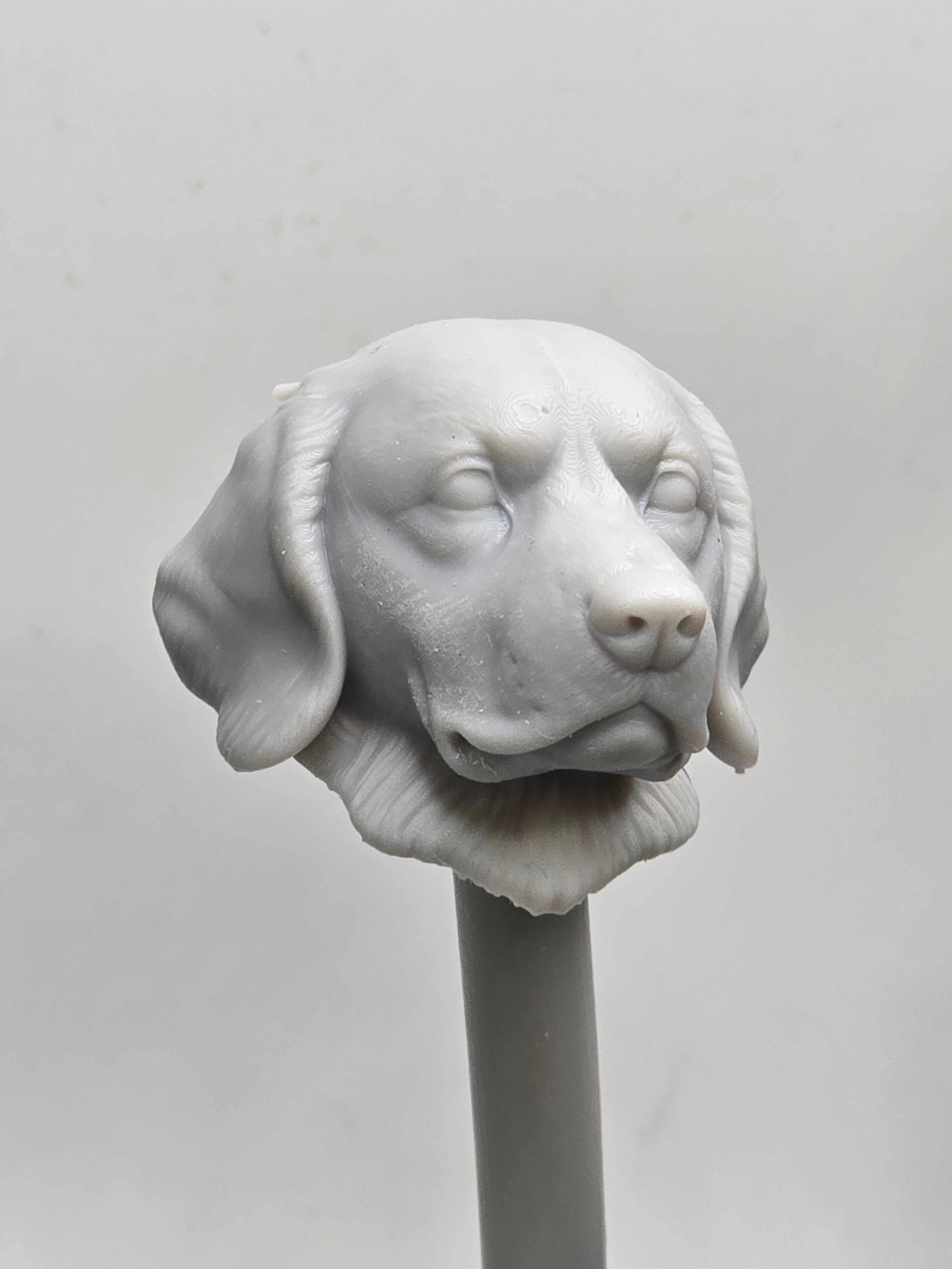 3d Printed Mythic Legions Scale Head 1.0 Golden Retriever Dog Head  1:12 6" Scale.
