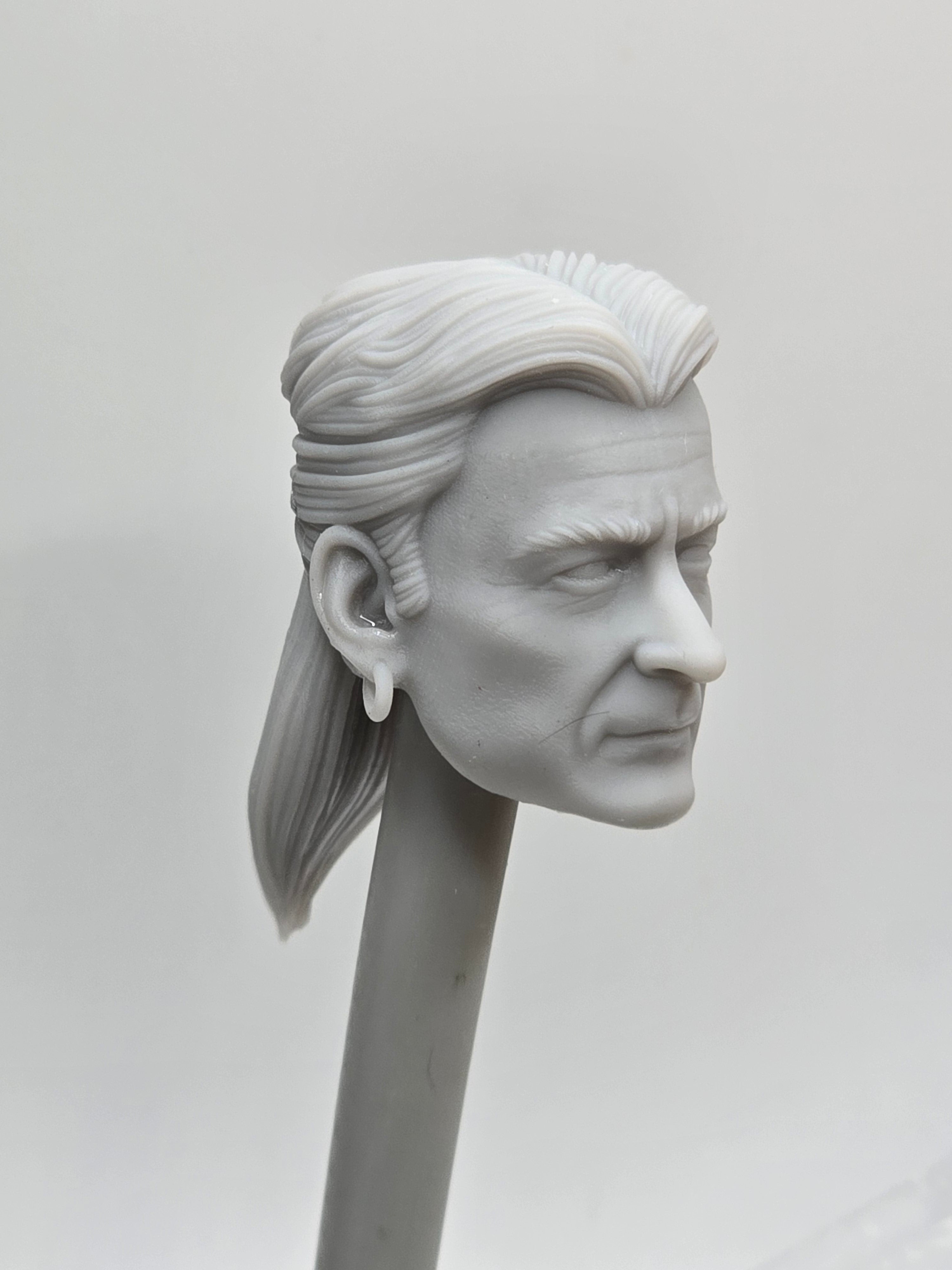 Custom 3d Printed Classified Legends Compatible Comic Multiverse Helsing Dracula Heads 1/12 1-10 1/18 Scale